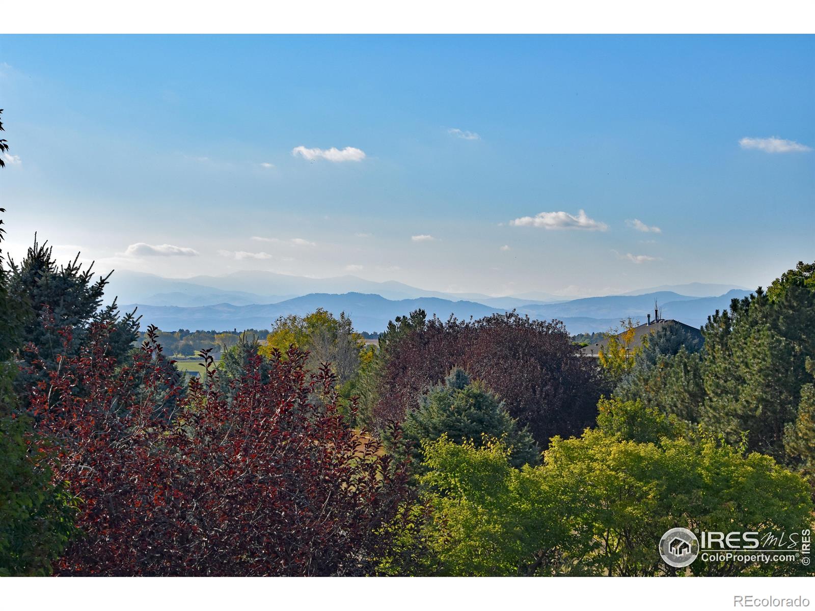 MLS Image #38 for 1406  bison ridge court,windsor, Colorado