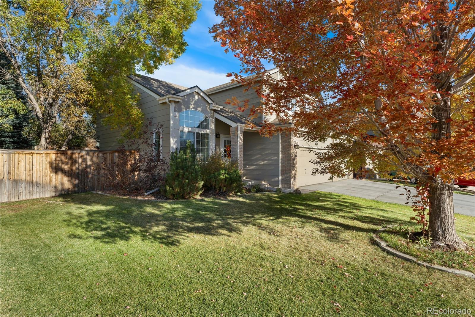 CMA Image for 16221  Willowstone Street,Parker, Colorado