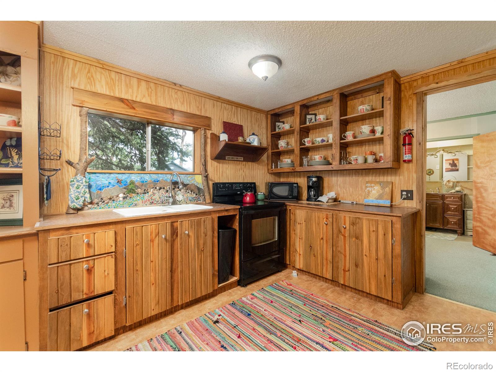 MLS Image #2 for 1301  strong avenue,estes park, Colorado