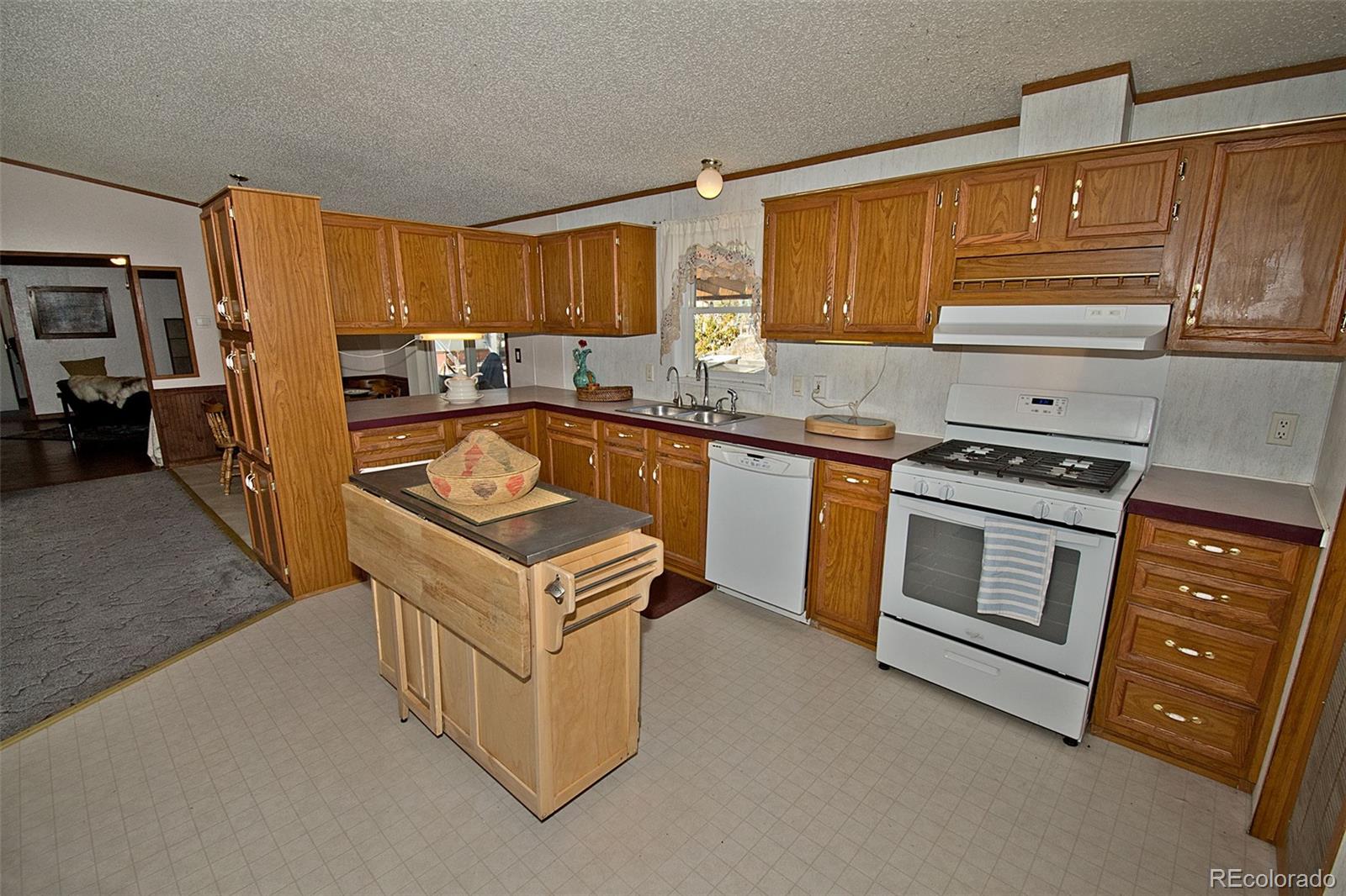 MLS Image #12 for 2708  lazy way,crestone, Colorado