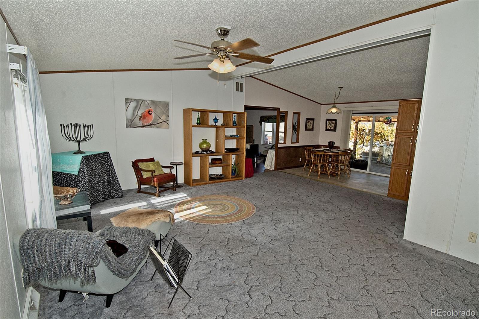 MLS Image #7 for 2708  lazy way,crestone, Colorado