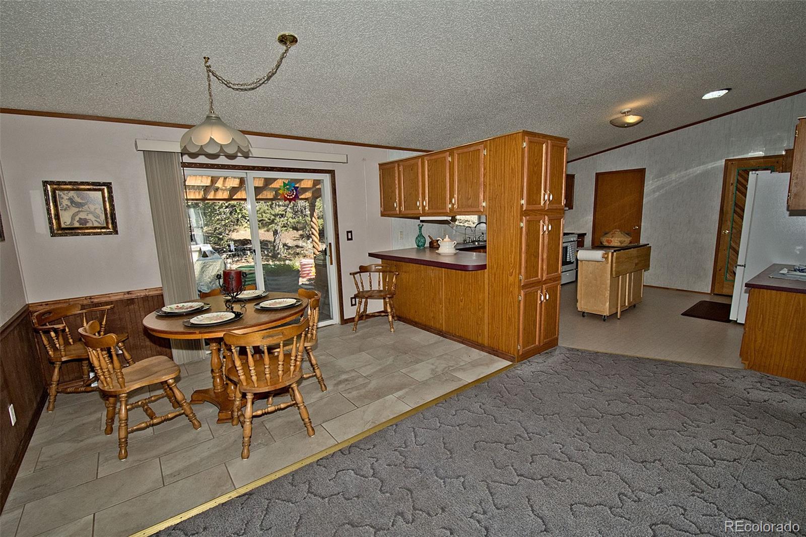 MLS Image #9 for 2708  lazy way,crestone, Colorado