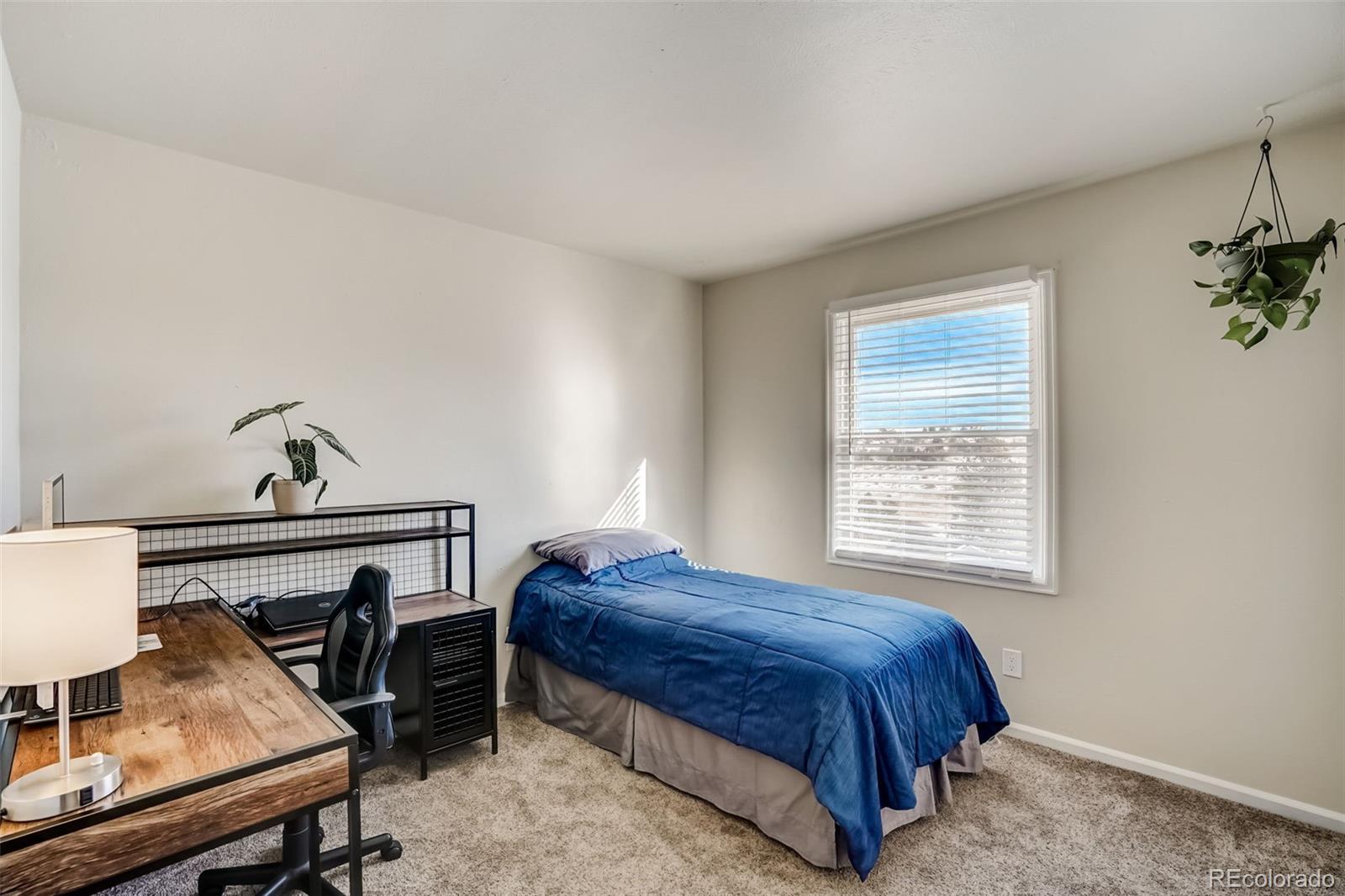 MLS Image #19 for 6397  arapahoe court,parker, Colorado