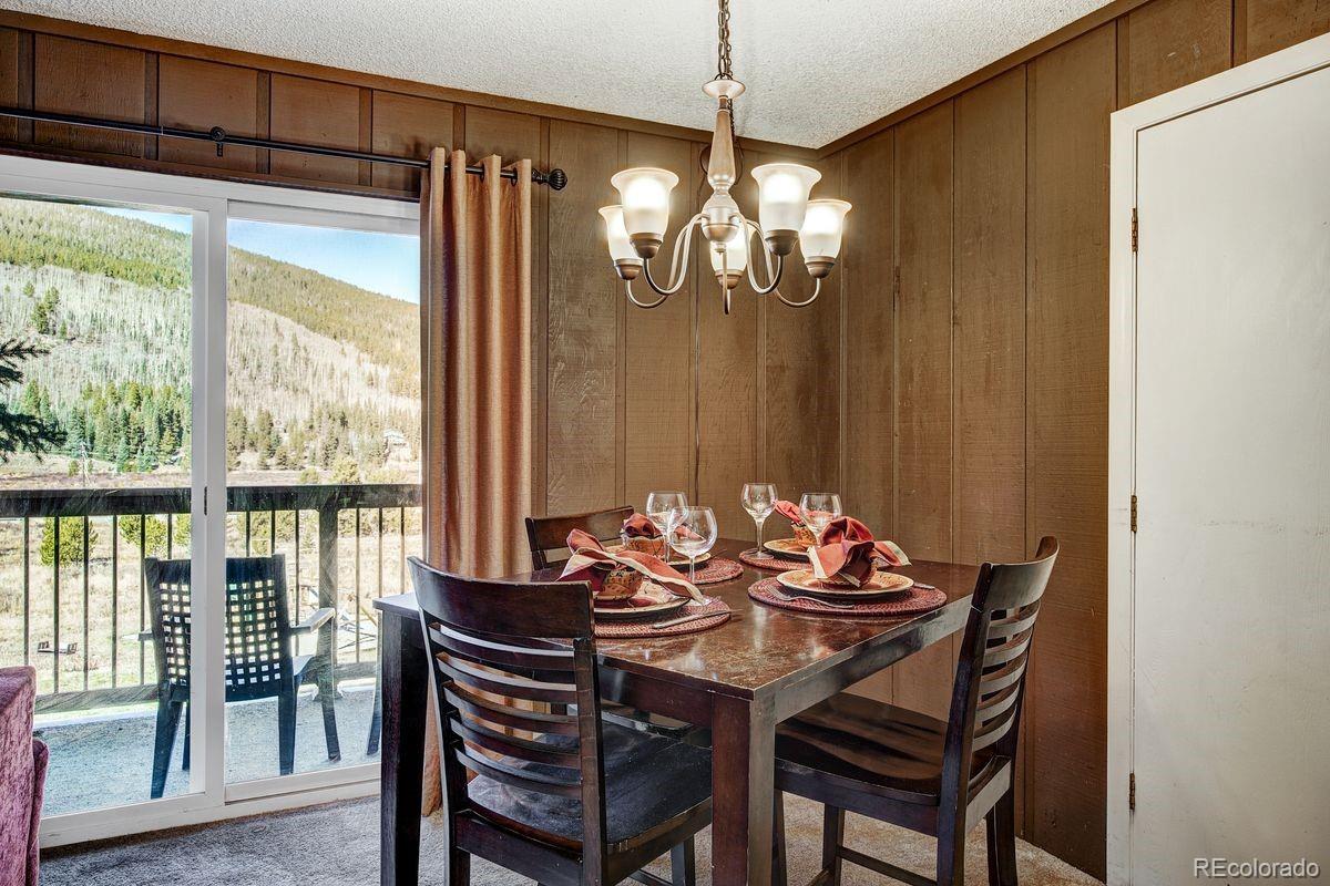 MLS Image #14 for 67  peaks view court,blue river, Colorado