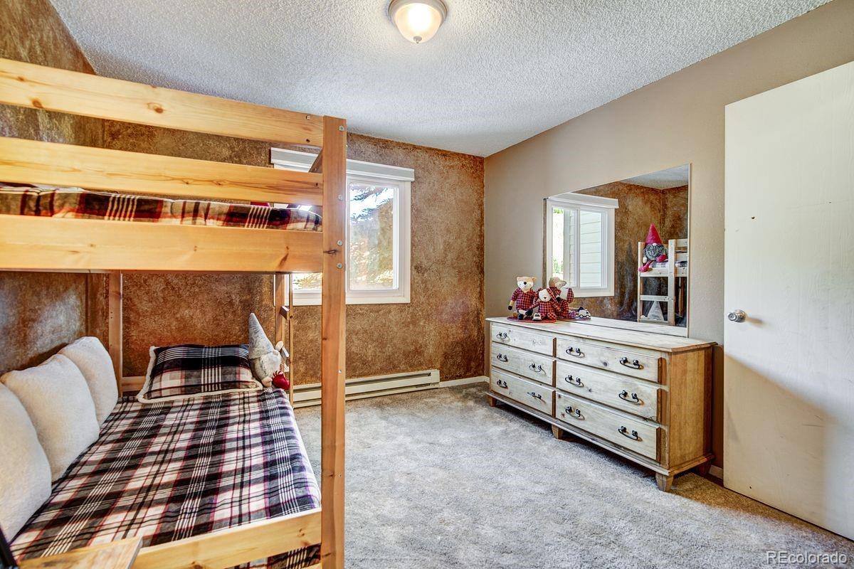 MLS Image #22 for 67  peaks view court,blue river, Colorado