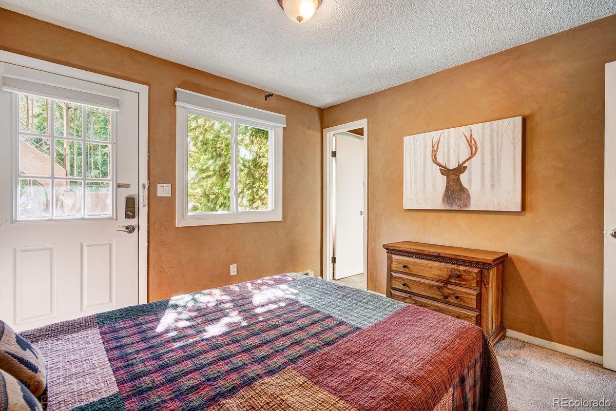 MLS Image #25 for 67  peaks view court,blue river, Colorado