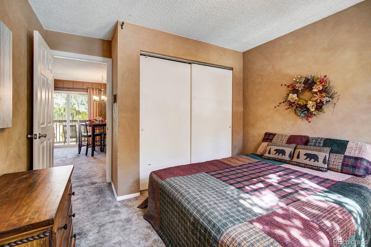 MLS Image #26 for 67  peaks view court,blue river, Colorado