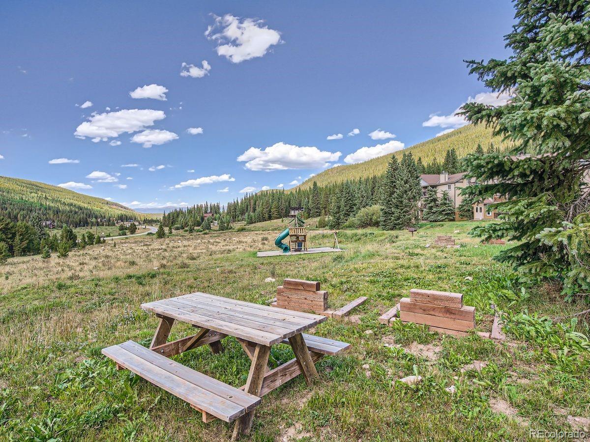 MLS Image #28 for 67  peaks view court,blue river, Colorado