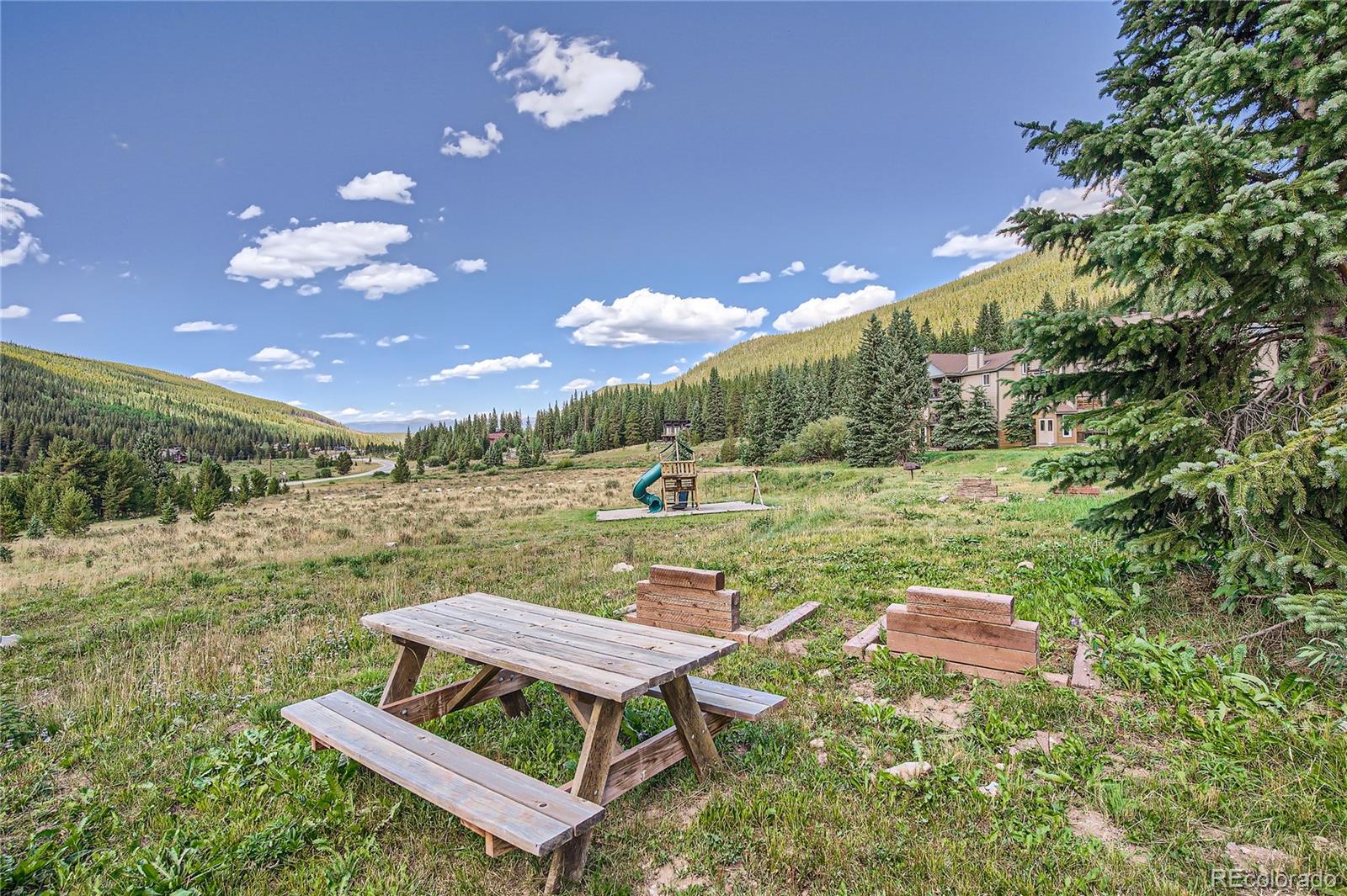 MLS Image #31 for 67  peaks view court,blue river, Colorado