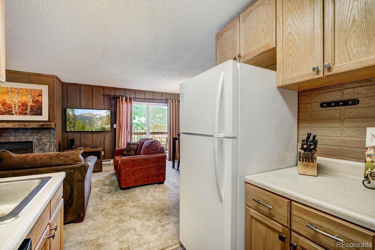 MLS Image #8 for 67  peaks view court,blue river, Colorado