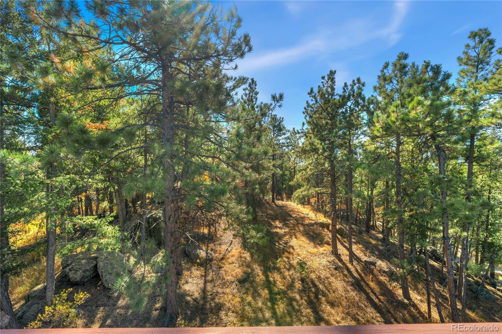 MLS Image #41 for 6560  ridgeview drive,morrison, Colorado