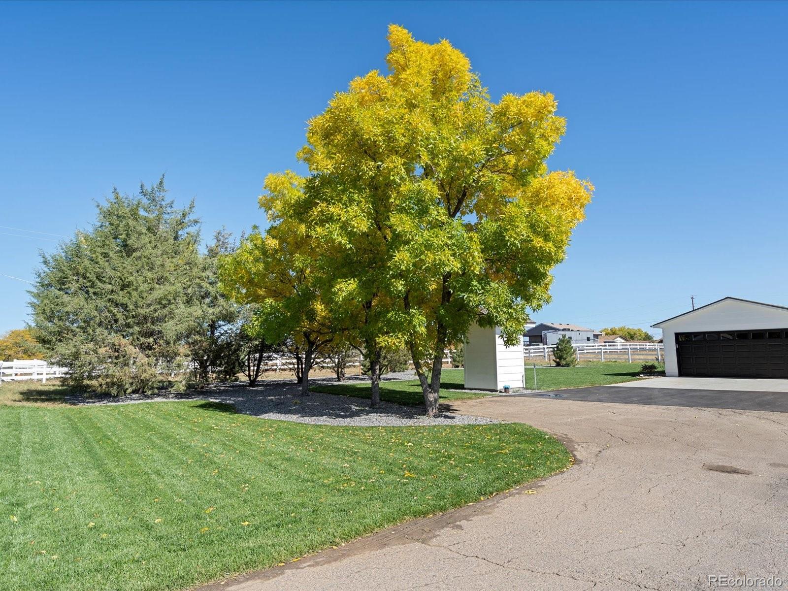 MLS Image #29 for 15238  navajo street,broomfield, Colorado