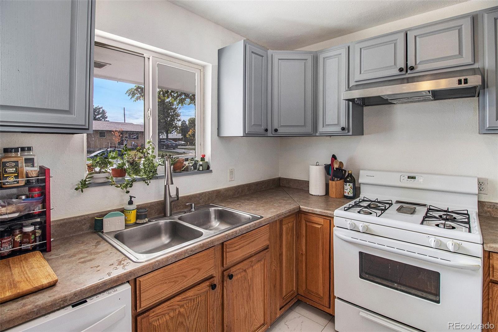 MLS Image #11 for 1001  cortez street,denver, Colorado