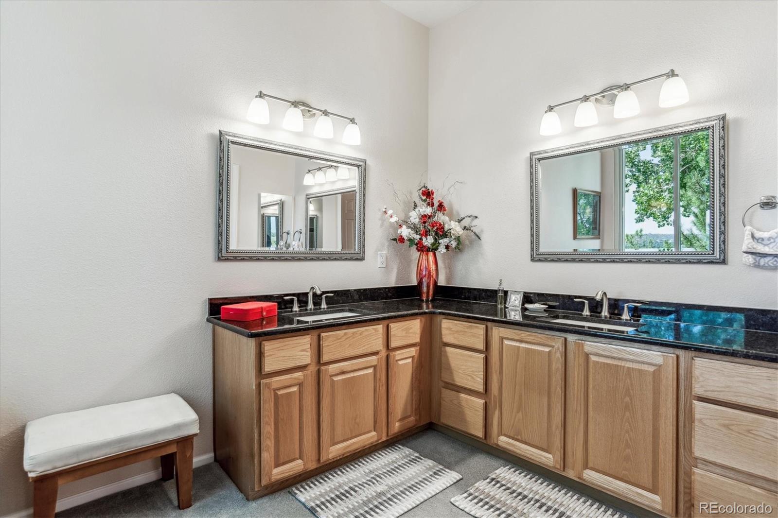 MLS Image #21 for 2109  brierly court,castle rock, Colorado
