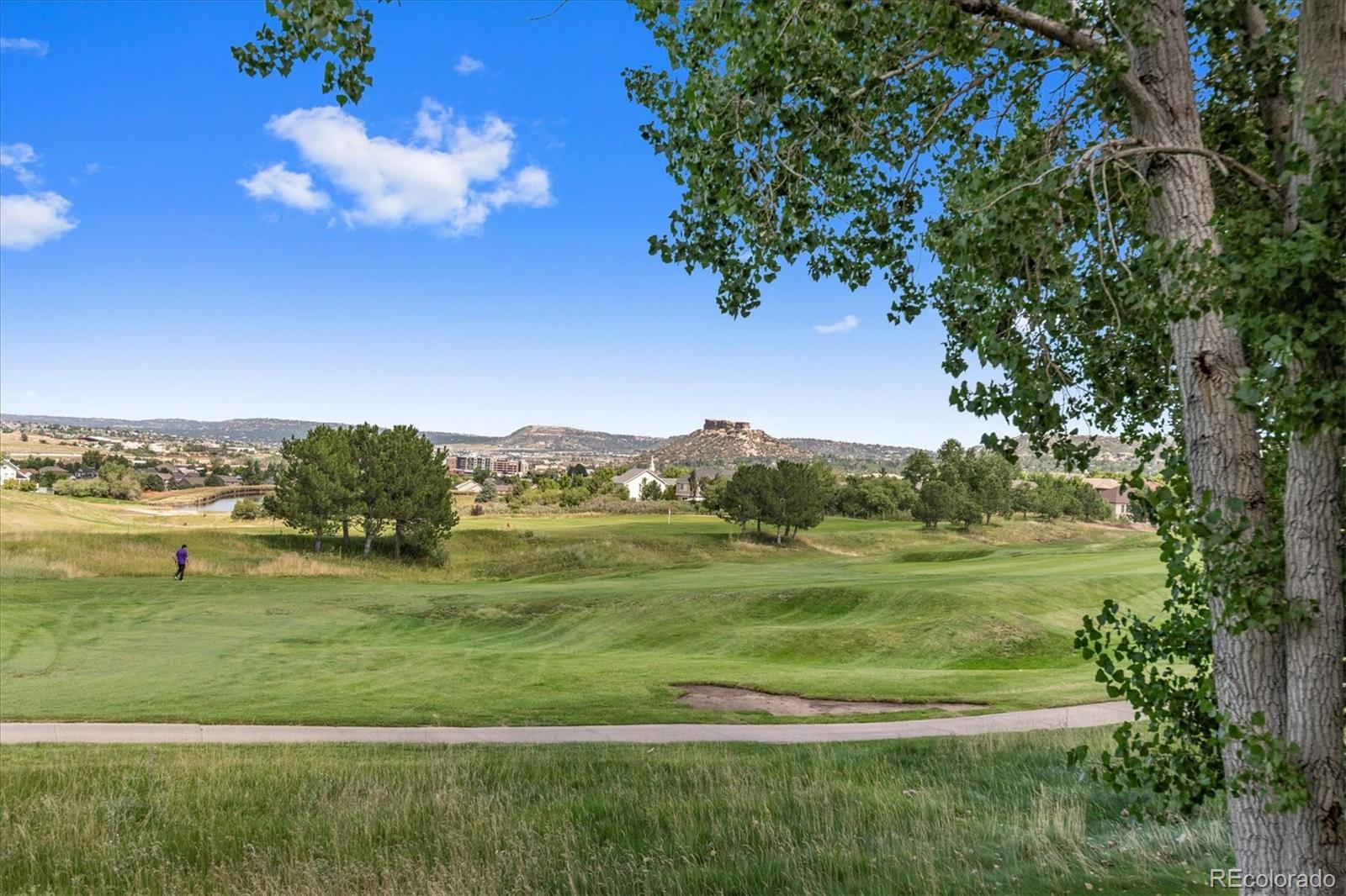 MLS Image #32 for 2109  brierly court,castle rock, Colorado