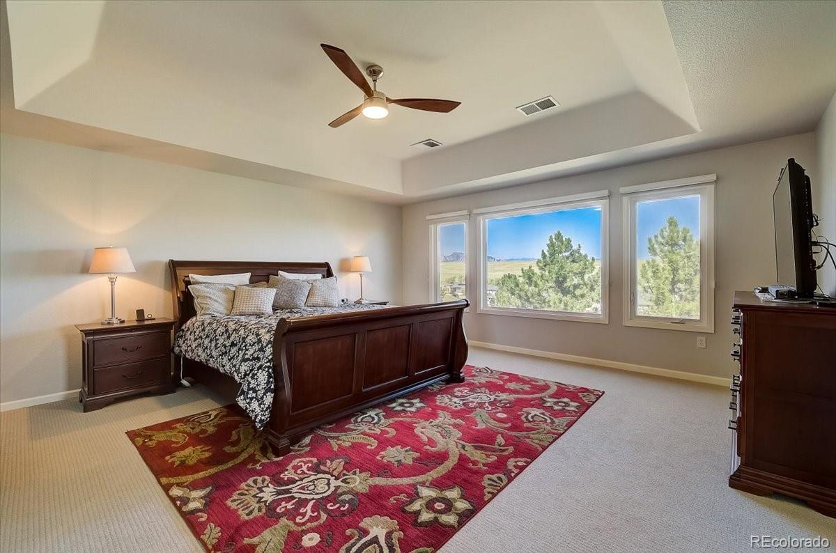 MLS Image #13 for 3111 w torreys peak drive,superior, Colorado