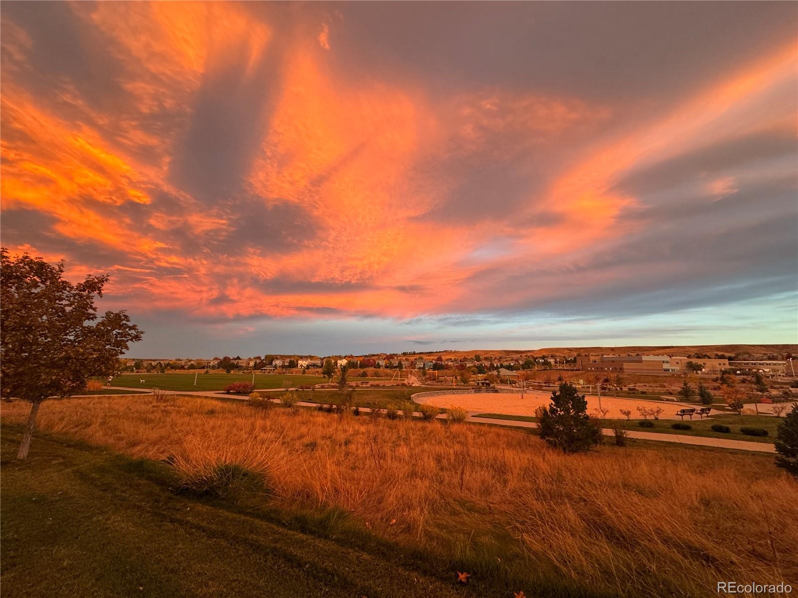 MLS Image #2 for 3111 w torreys peak drive,superior, Colorado