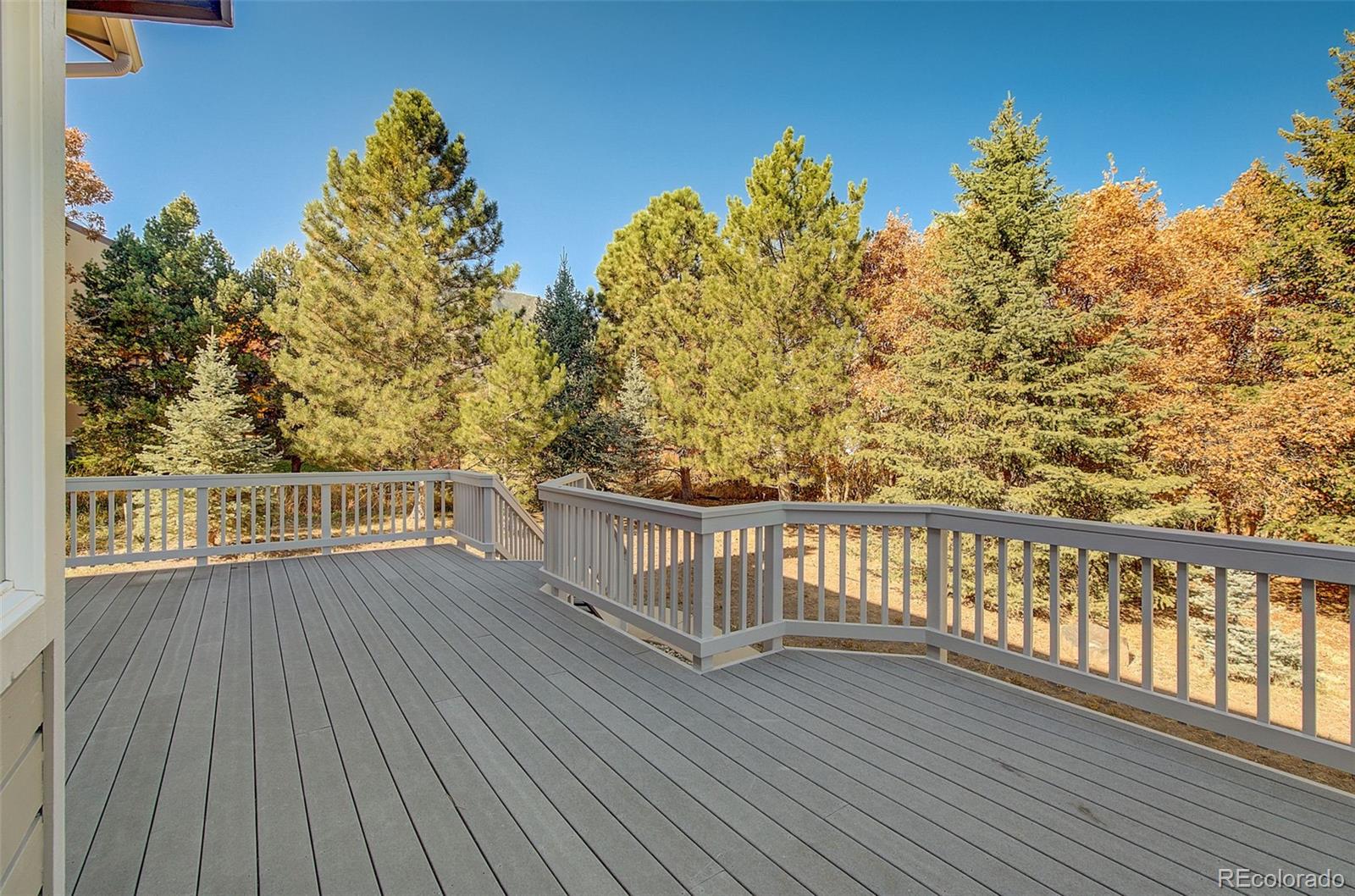 MLS Image #12 for 230  thames drive,colorado springs, Colorado