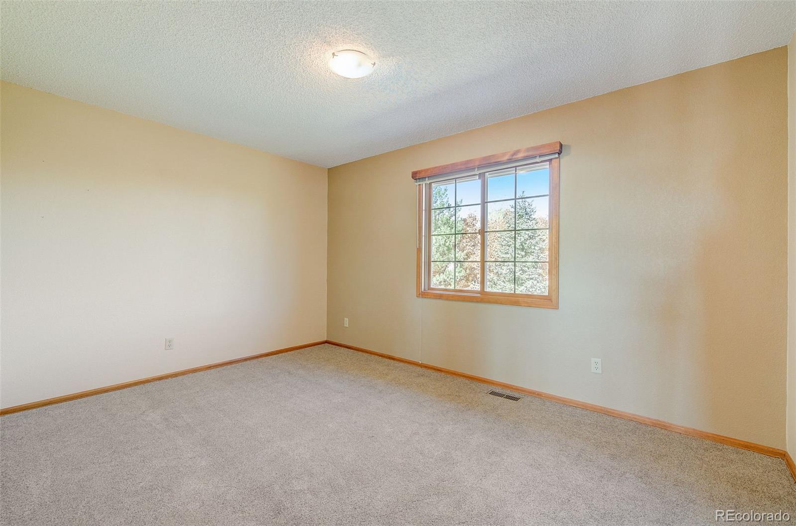 MLS Image #24 for 230  thames drive,colorado springs, Colorado