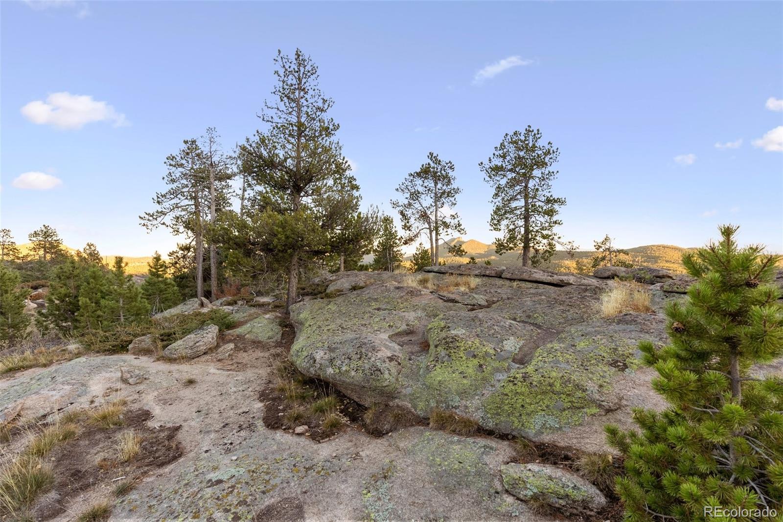 MLS Image #48 for 28297  belle vista drive,conifer, Colorado