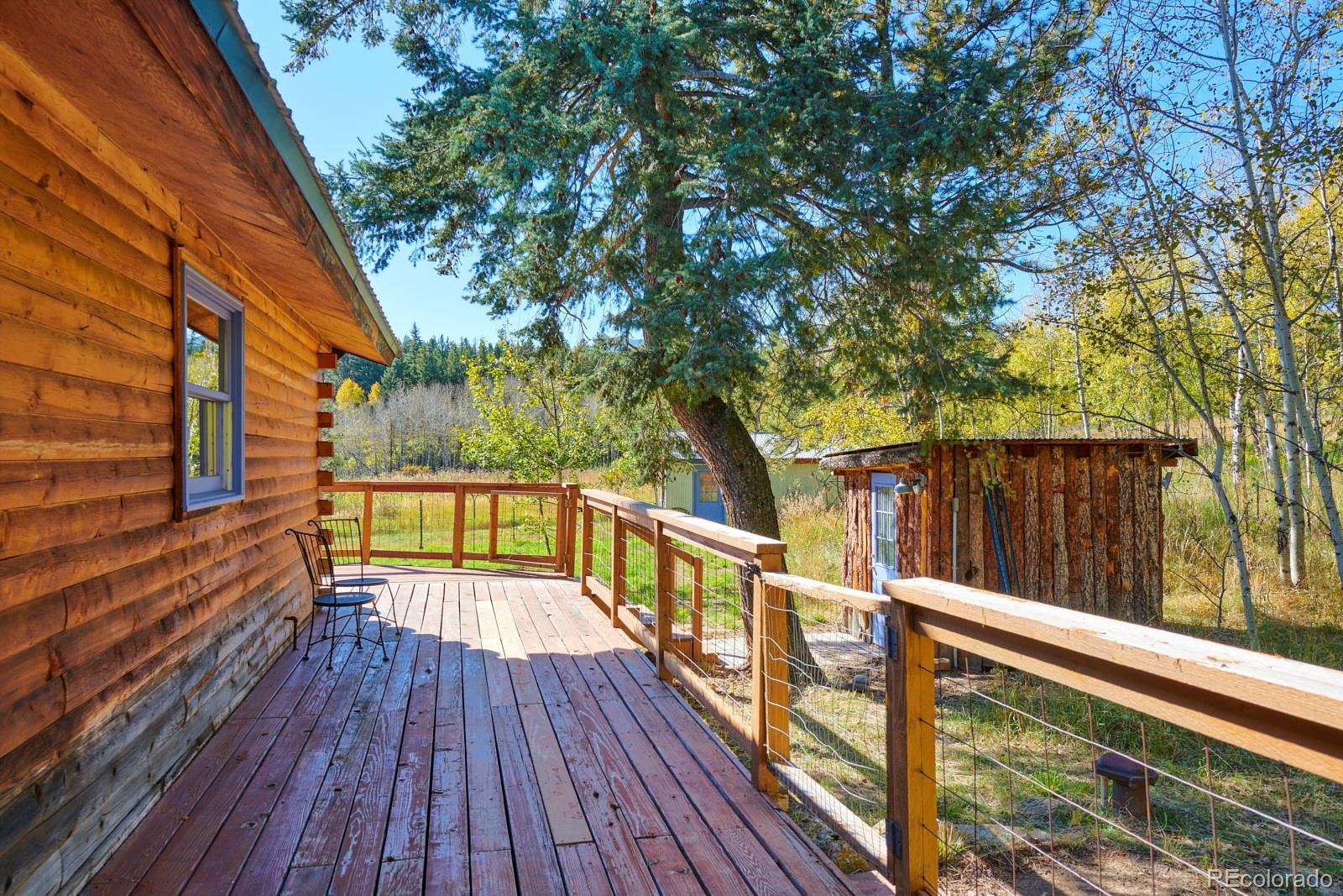 MLS Image #10 for 283  ponderosa way,nederland, Colorado