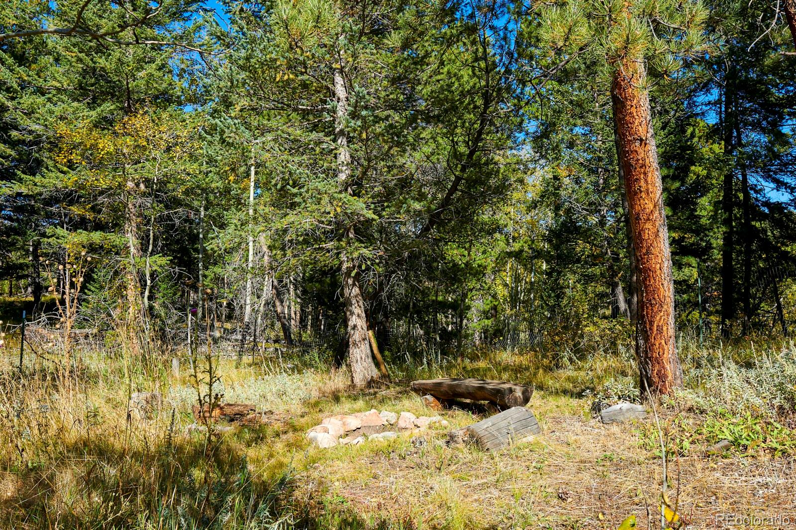 MLS Image #12 for 283  ponderosa way,nederland, Colorado