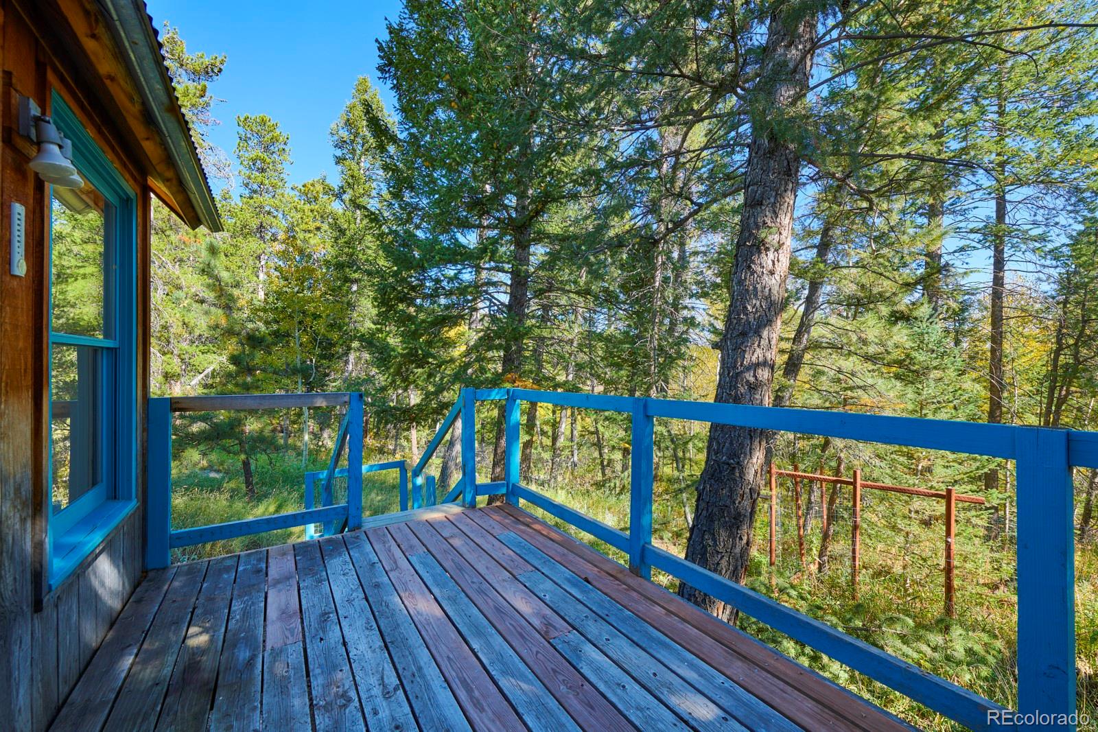 MLS Image #17 for 283  ponderosa way,nederland, Colorado