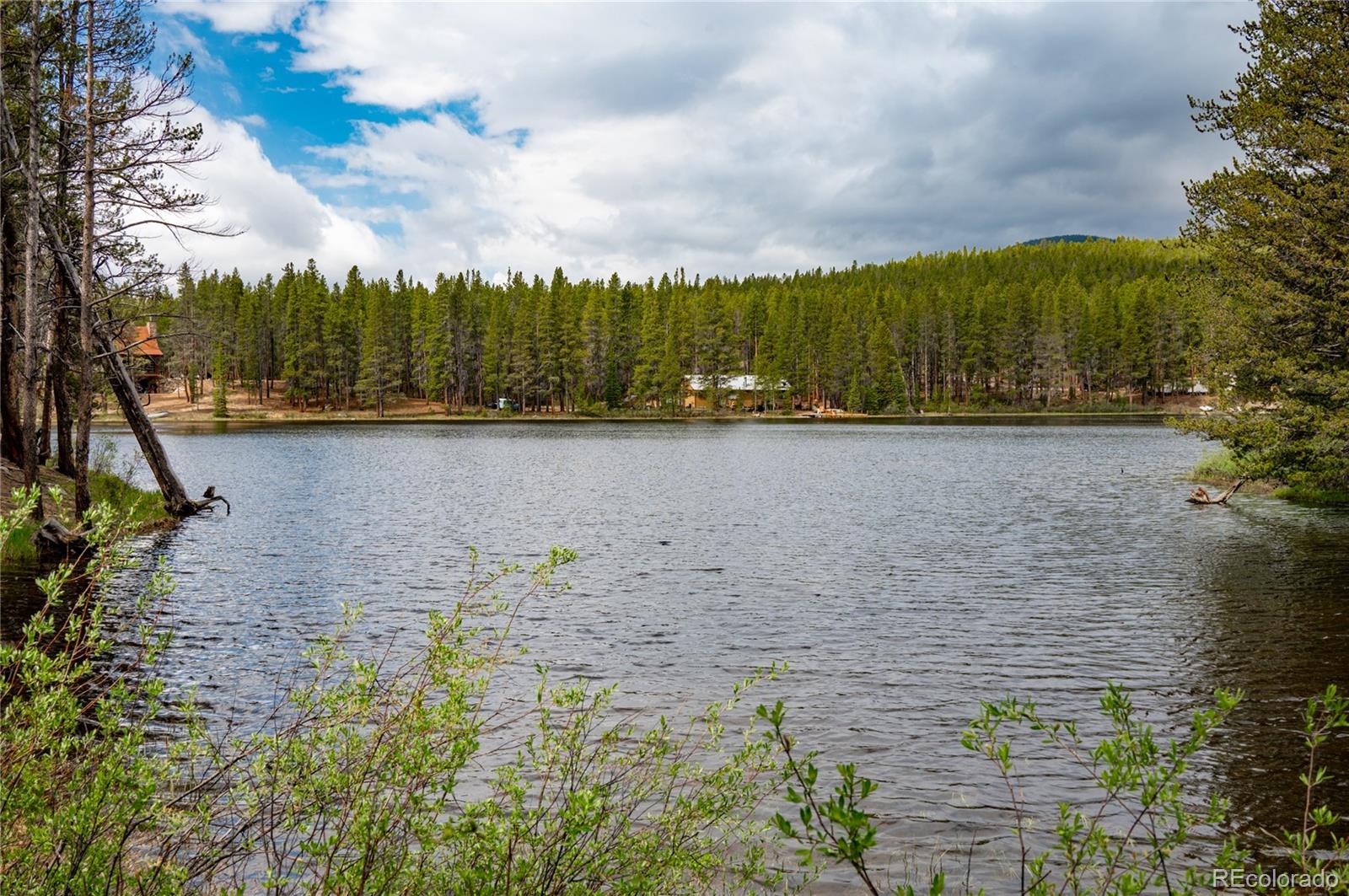 CMA Image for 649  county rd #21 ,Leadville, Colorado