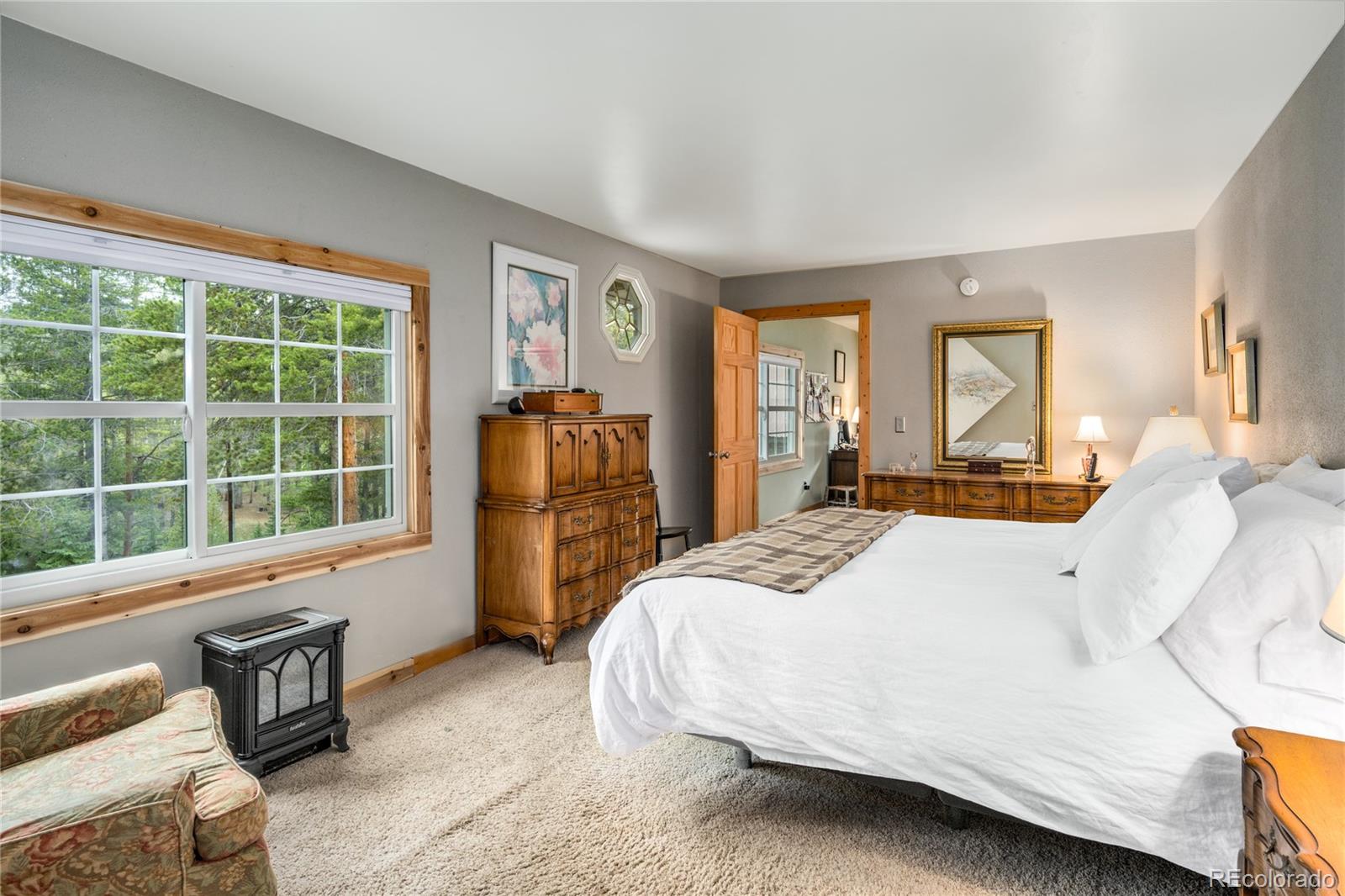 MLS Image #18 for 649  county rd #21 ,leadville, Colorado