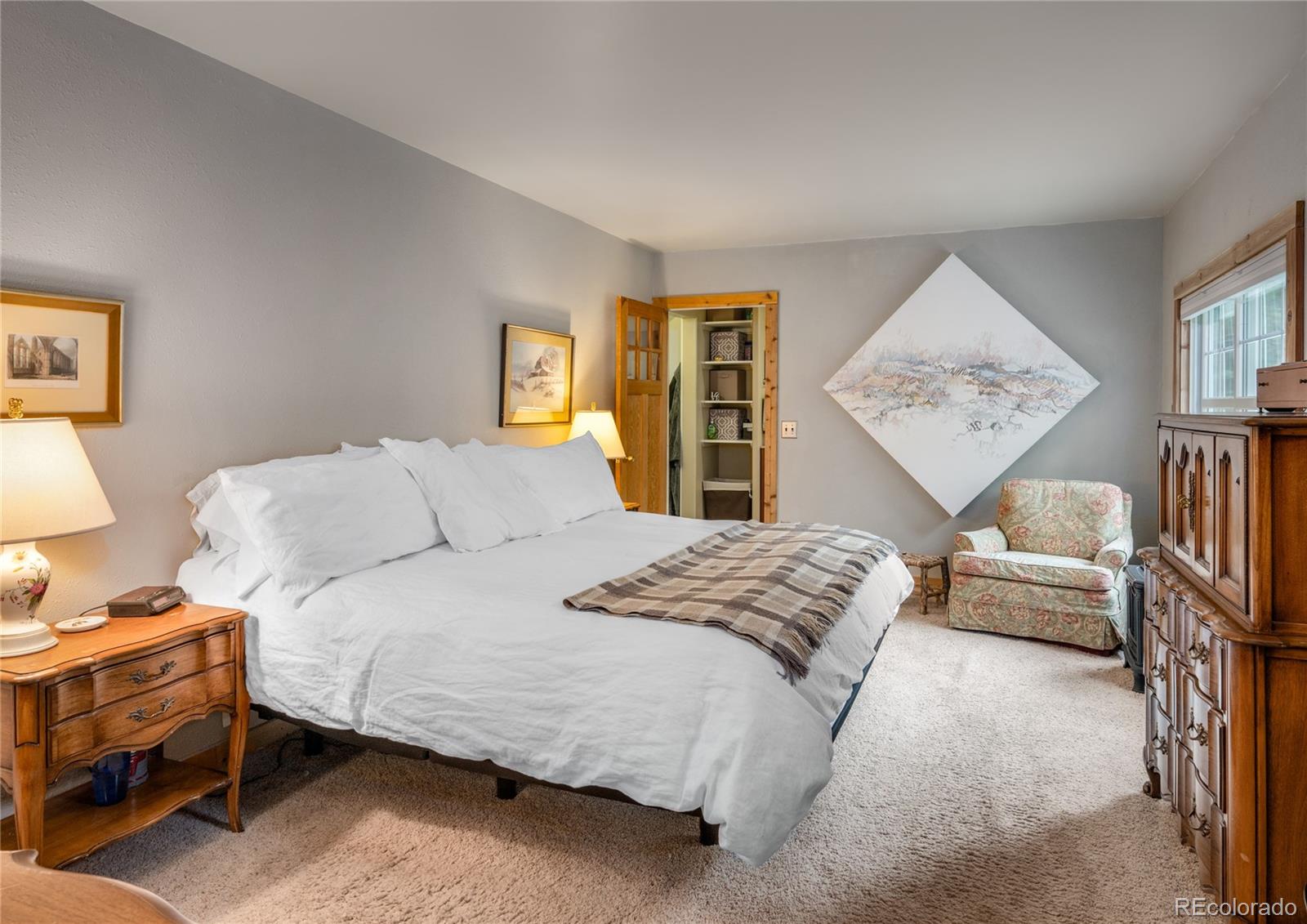 MLS Image #20 for 649  county rd #21 ,leadville, Colorado