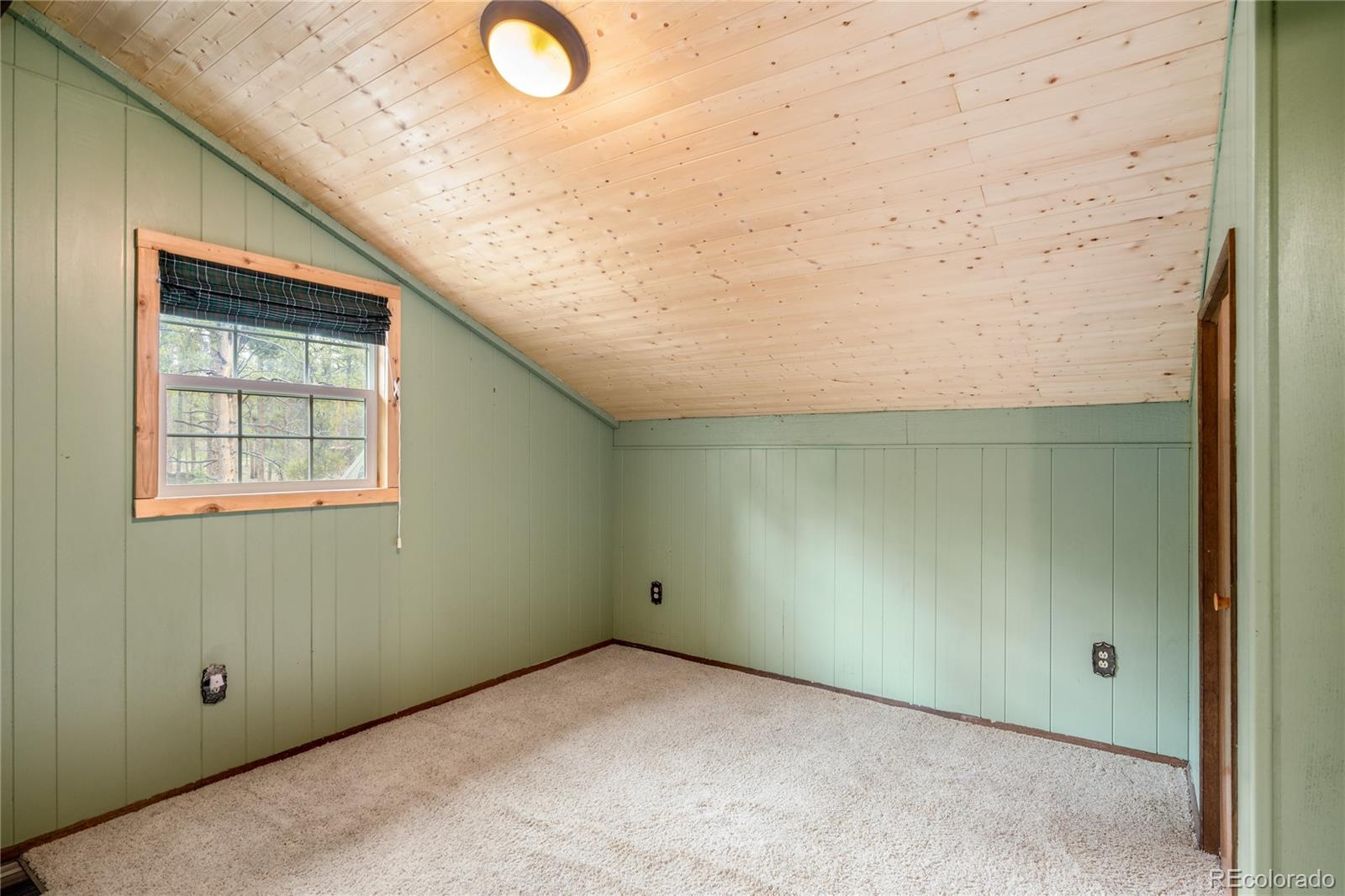MLS Image #21 for 649  county rd #21 ,leadville, Colorado