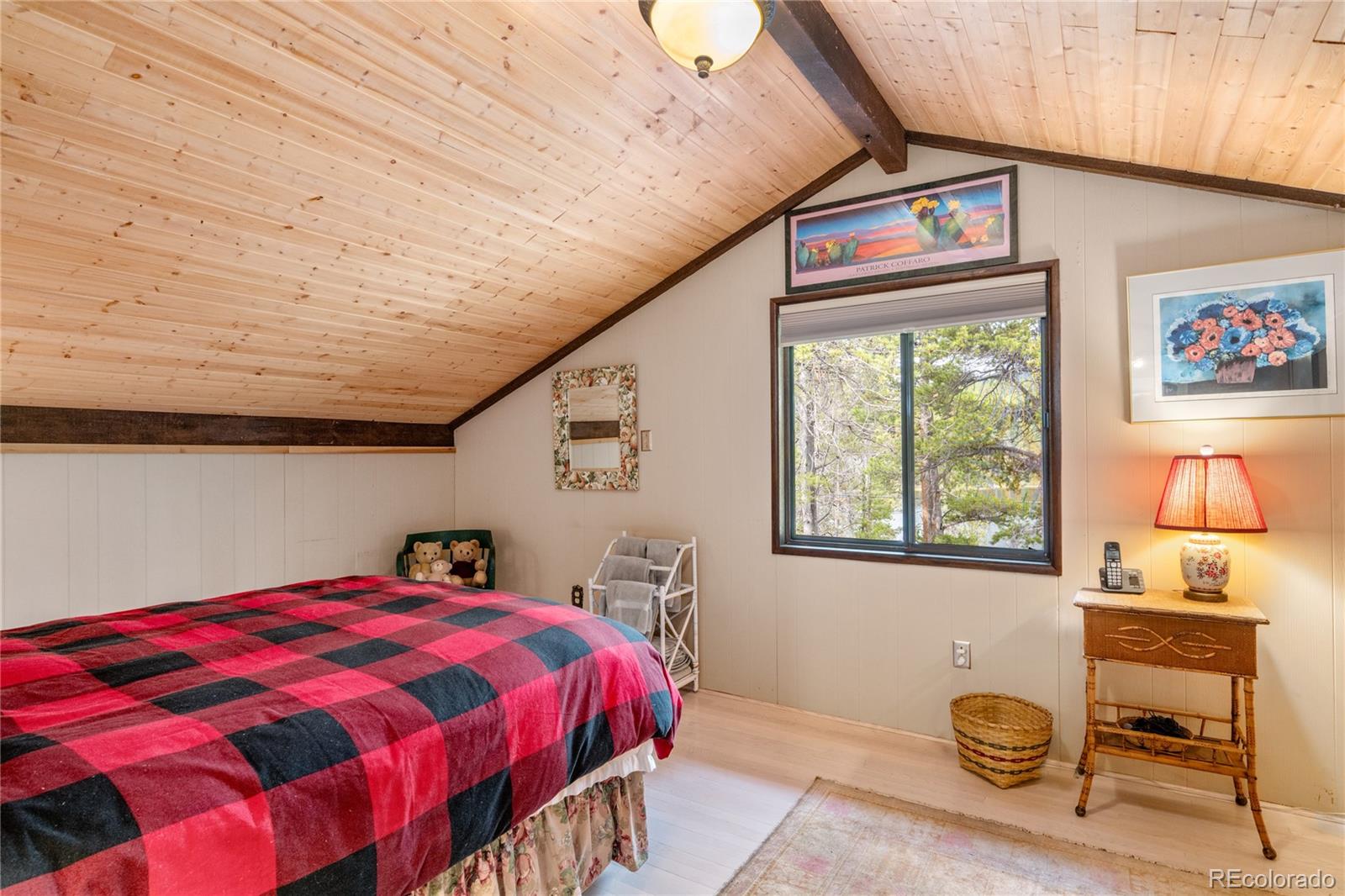 MLS Image #24 for 649  county rd #21 ,leadville, Colorado