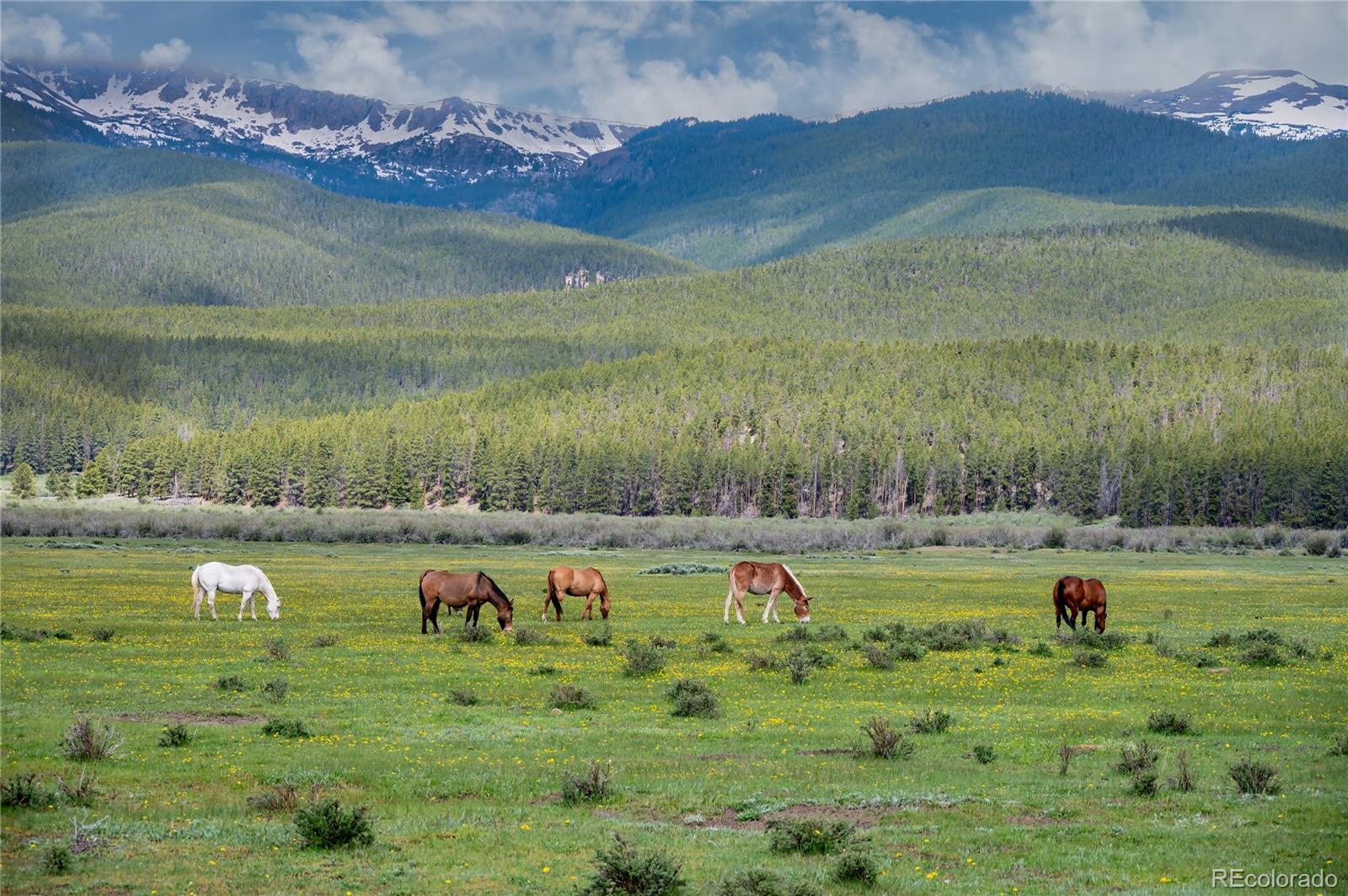 MLS Image #27 for 649  county rd #21 ,leadville, Colorado
