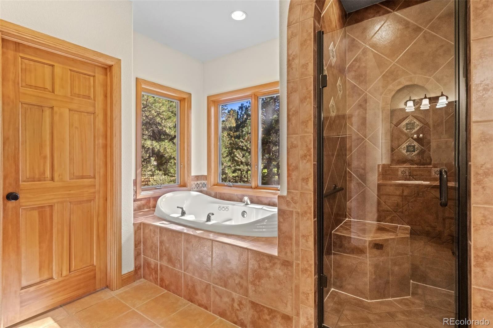 MLS Image #22 for 17840  queensmere drive,monument, Colorado