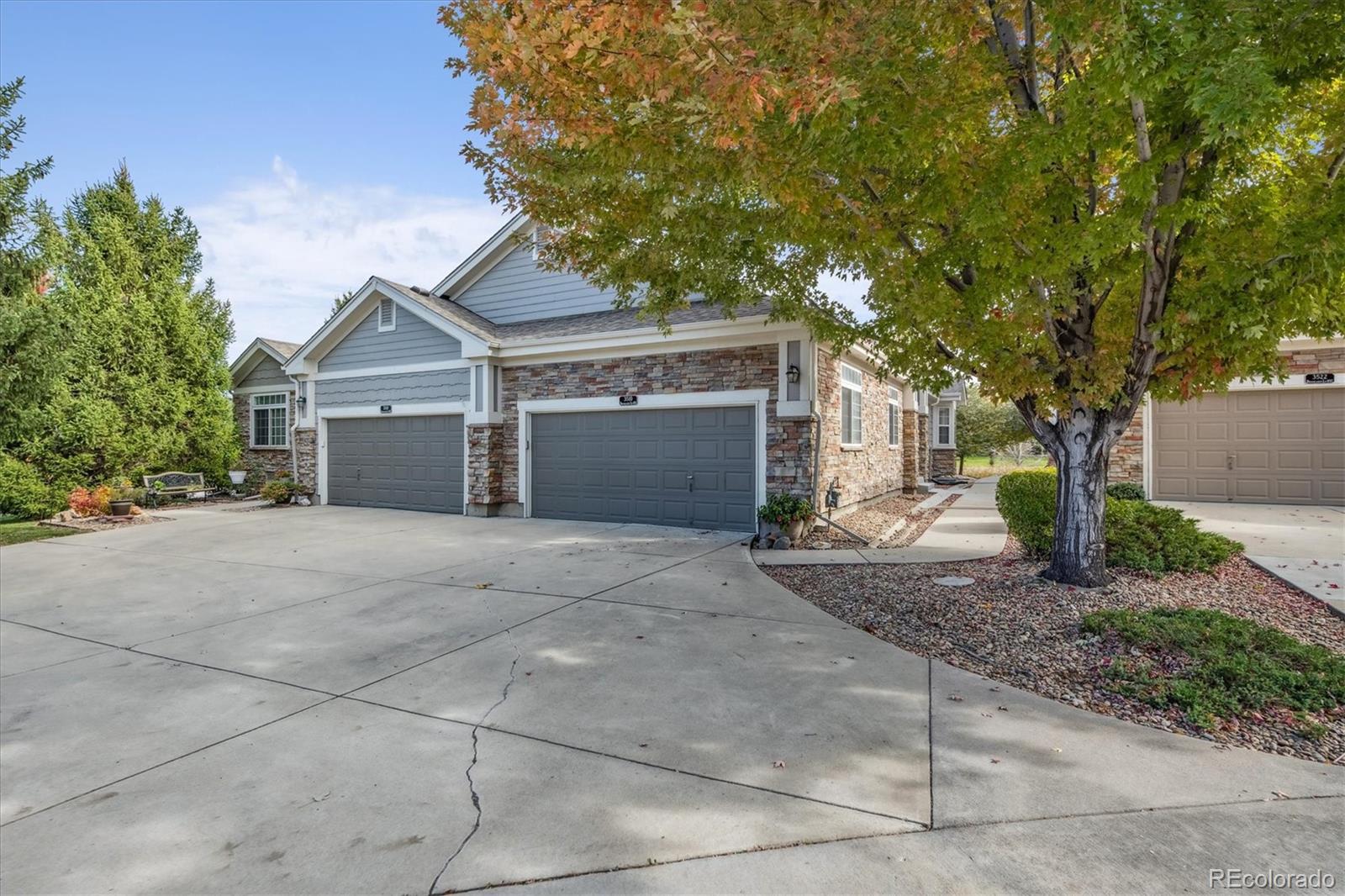 MLS Image #3 for 3510  broadlands lane,broomfield, Colorado