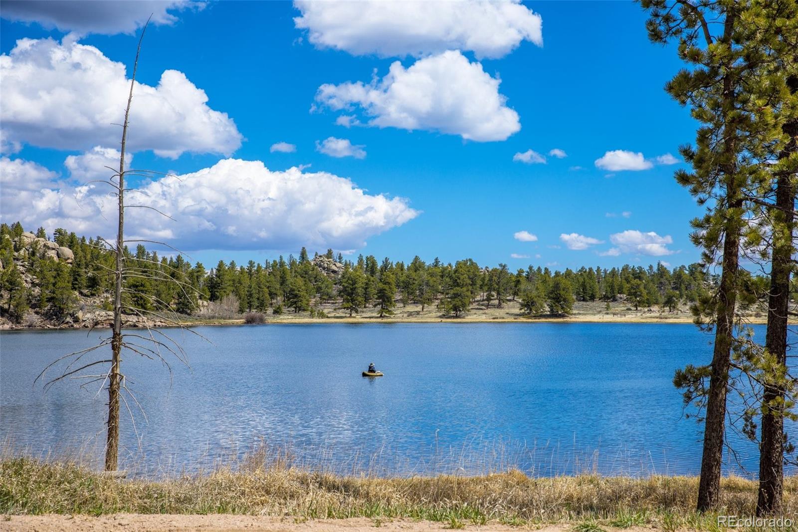 MLS Image #48 for 1426  shoshoni drive,red feather lakes, Colorado