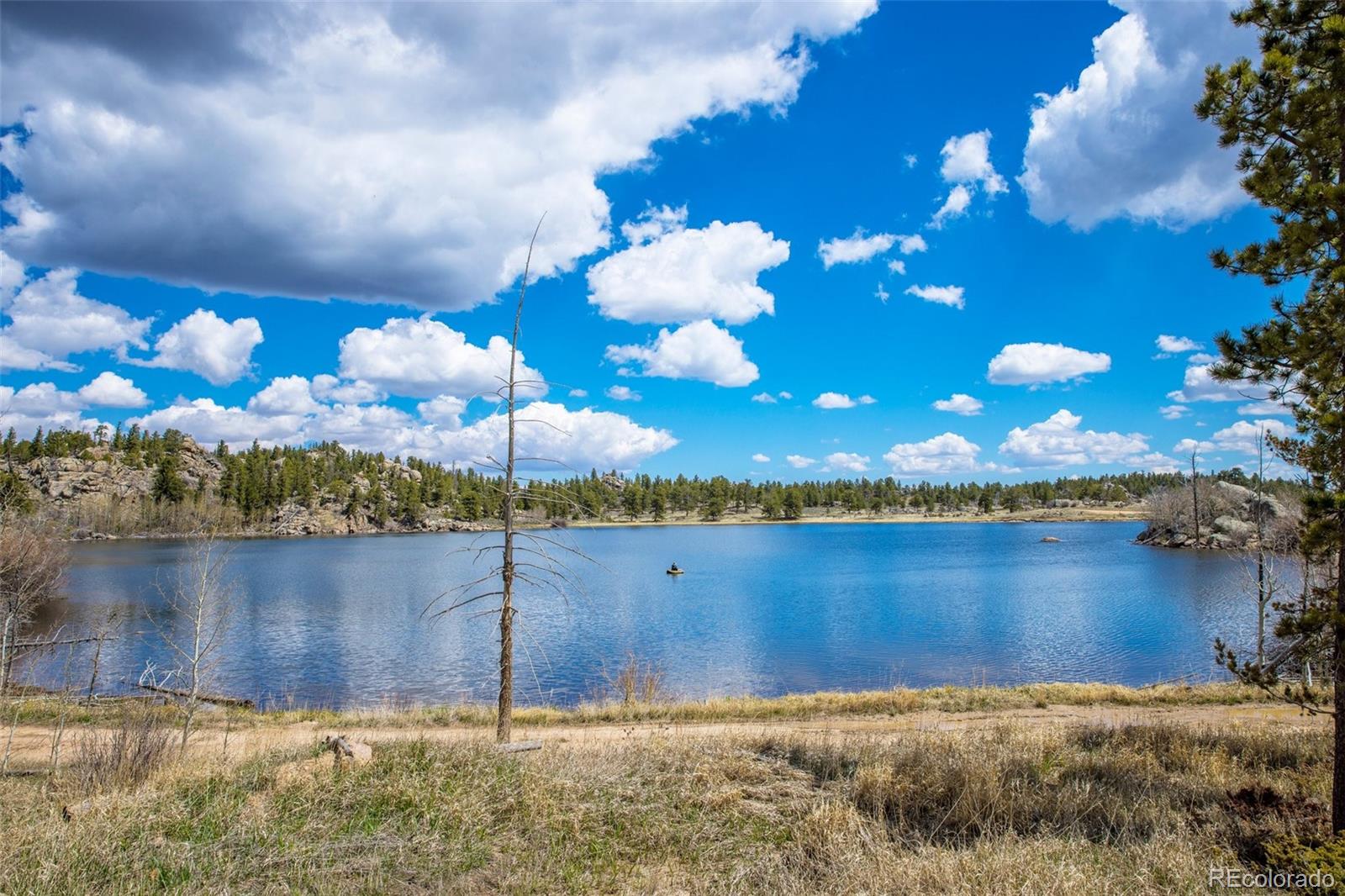 MLS Image #49 for 1426  shoshoni drive,red feather lakes, Colorado