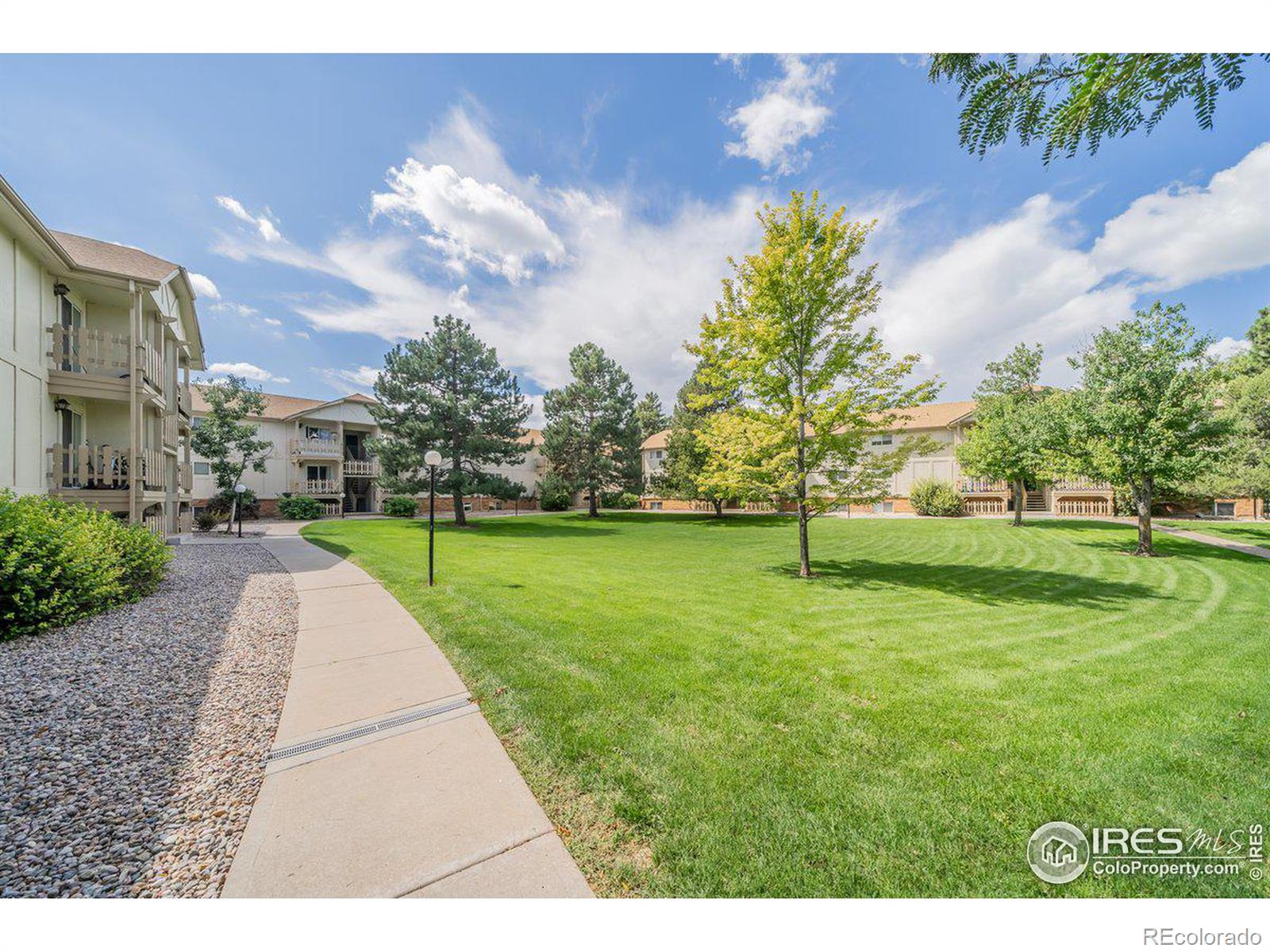 MLS Image #14 for 1024 e swallow road,fort collins, Colorado