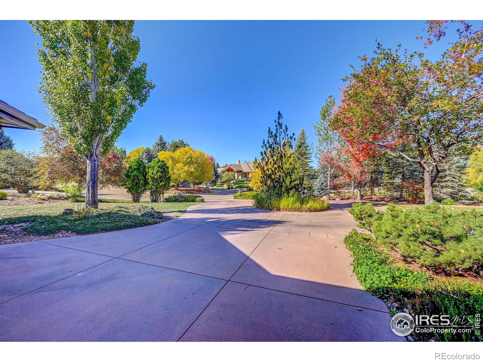 MLS Image #3 for 7348  erin court,niwot, Colorado