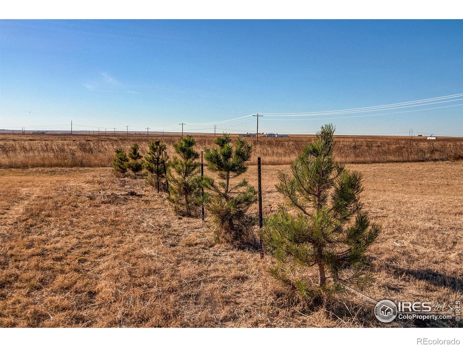 MLS Image #29 for 43490  county road 68 ,briggsdale, Colorado