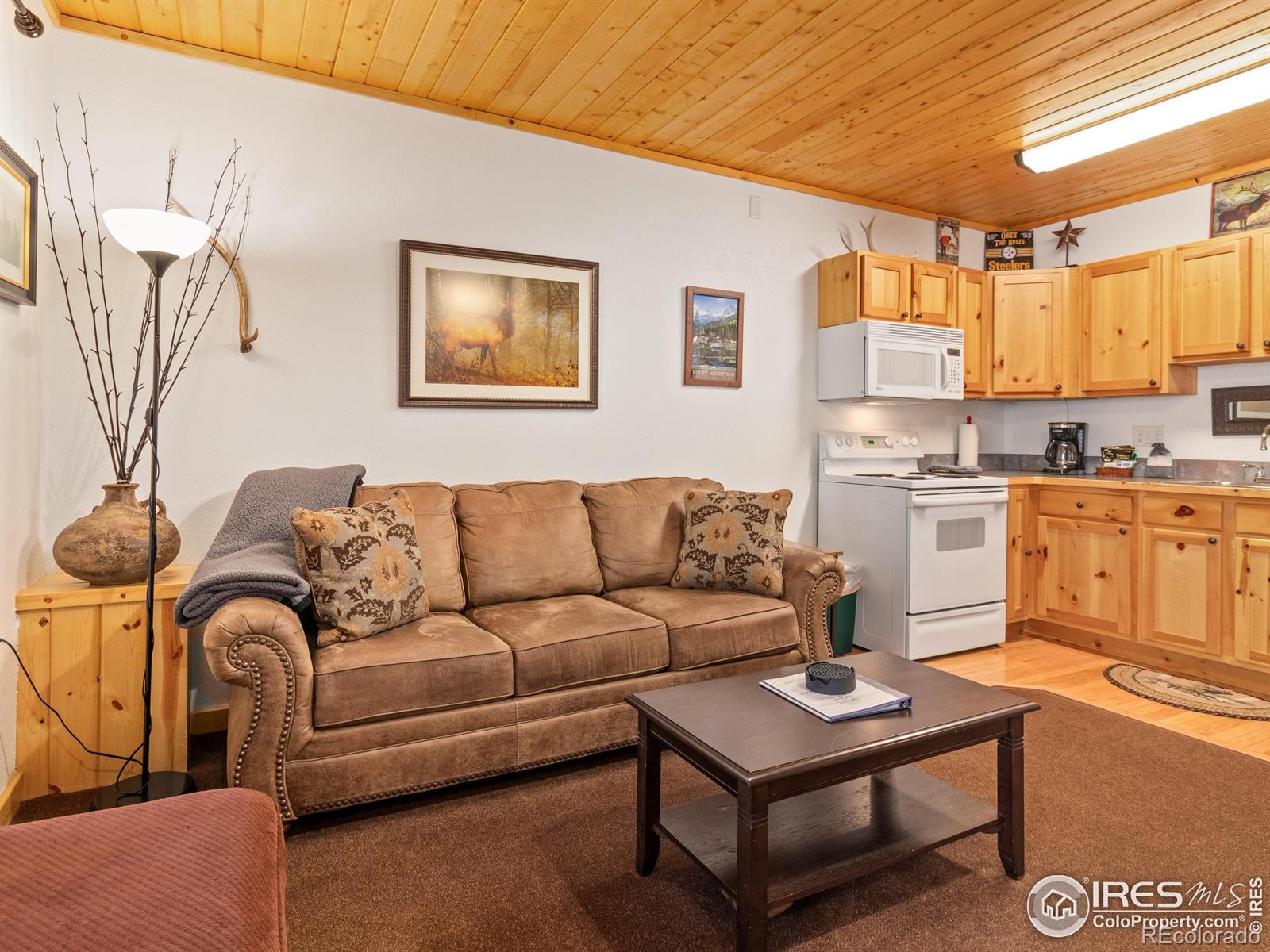 MLS Image #6 for 1516  fish hatchery road,estes park, Colorado