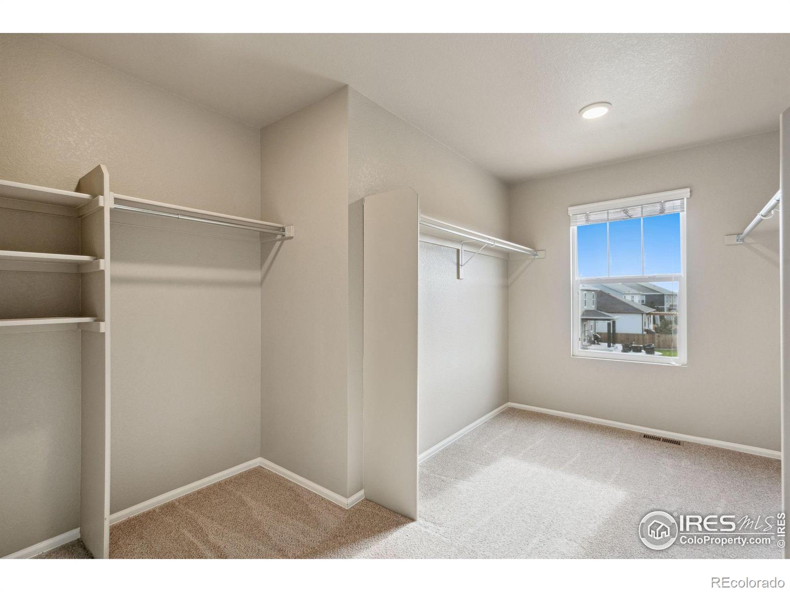 MLS Image #19 for 1542  taplow drive,windsor, Colorado