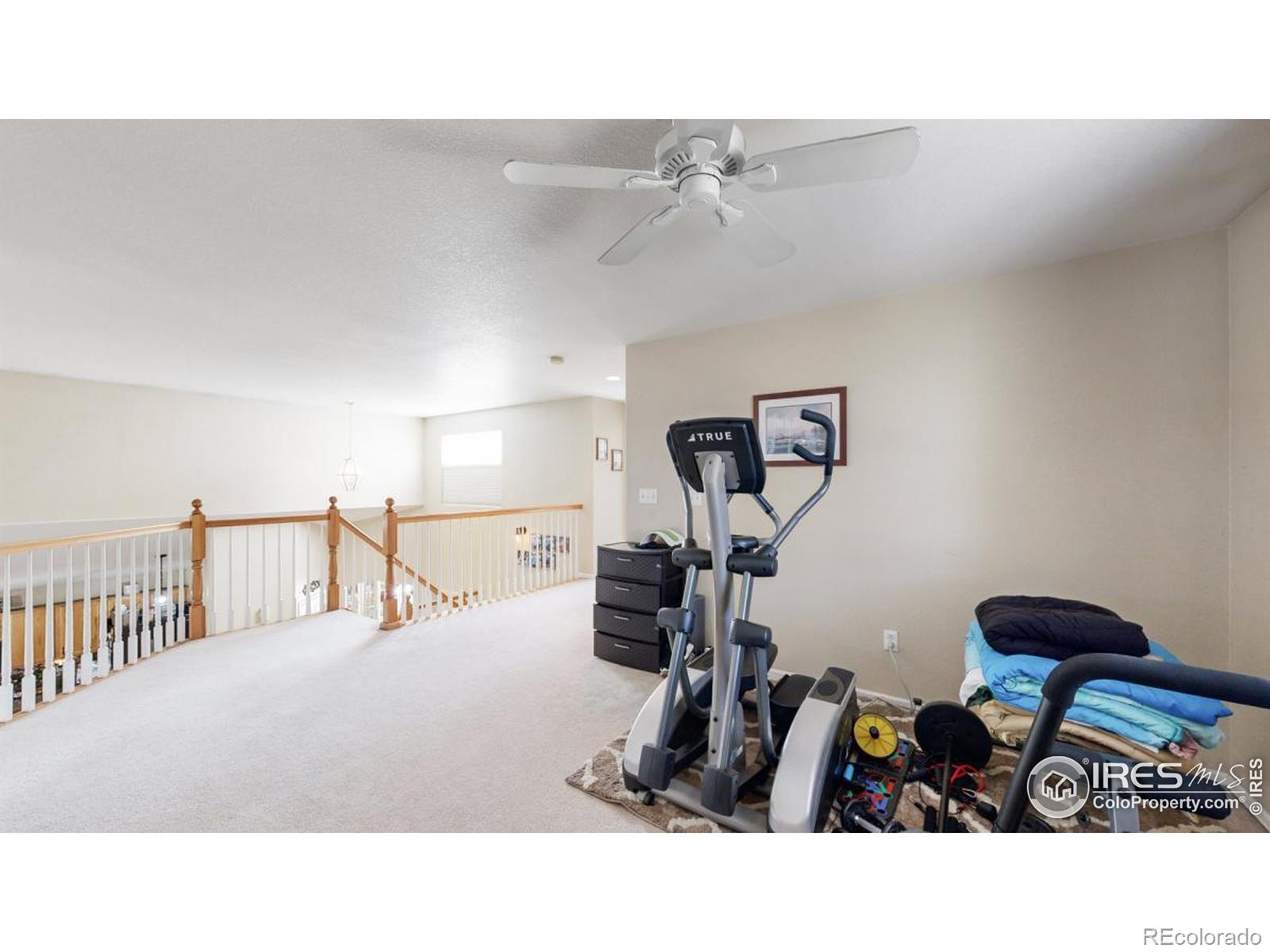 MLS Image #19 for 632  jansen drive,fort collins, Colorado