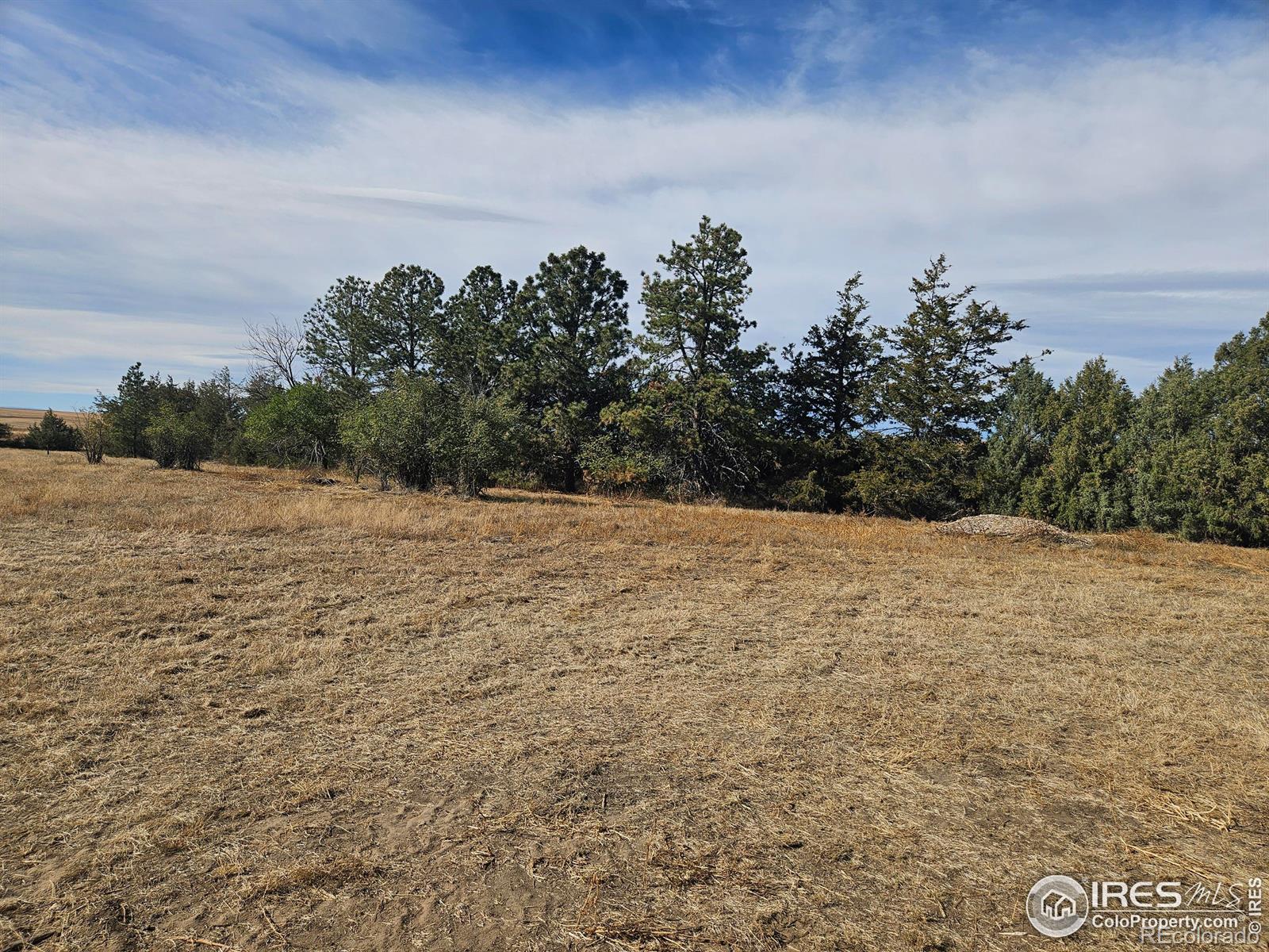 MLS Image #32 for 51838  county road 51 ,ault, Colorado