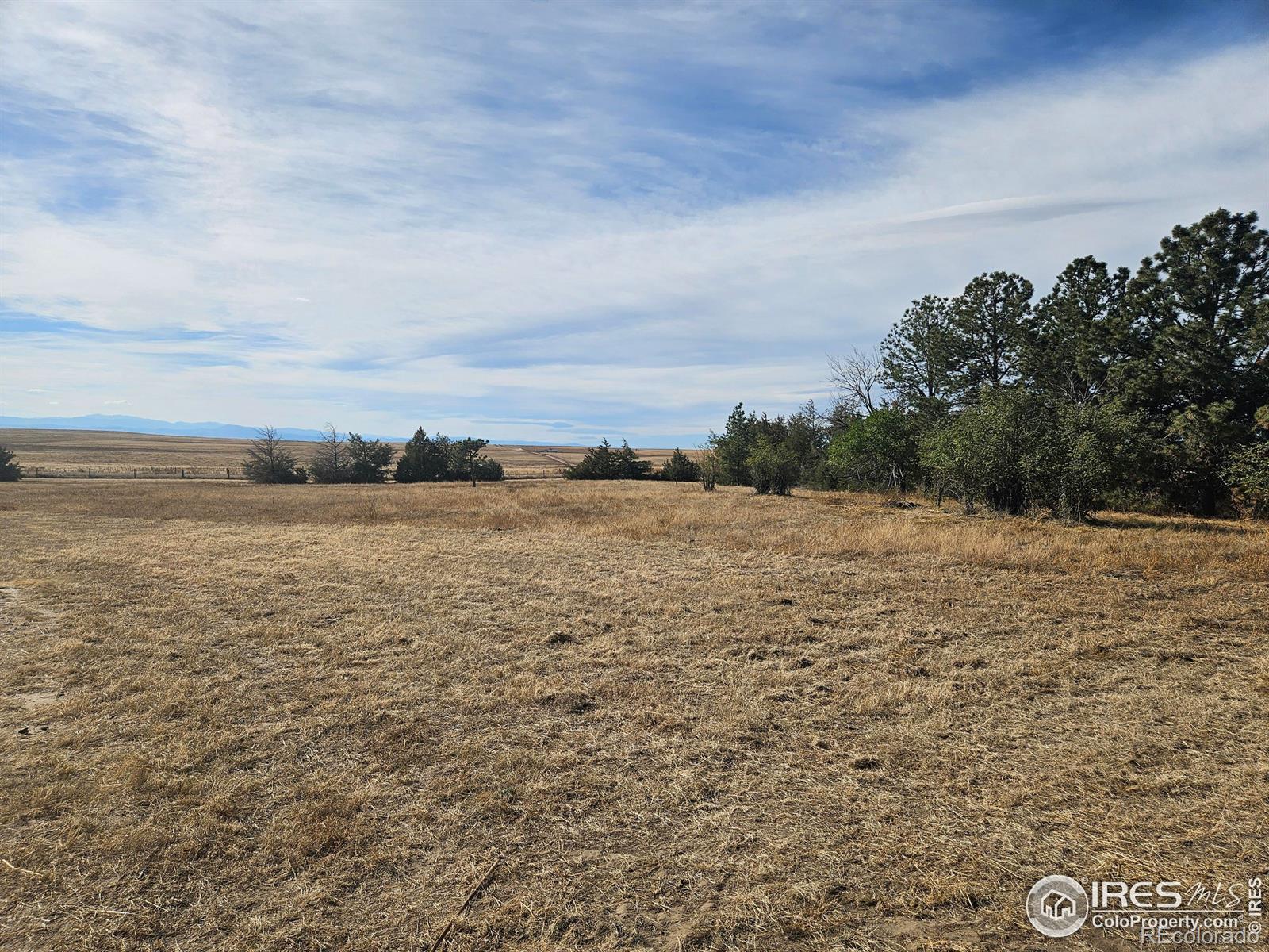 MLS Image #33 for 51838  county road 51 ,ault, Colorado