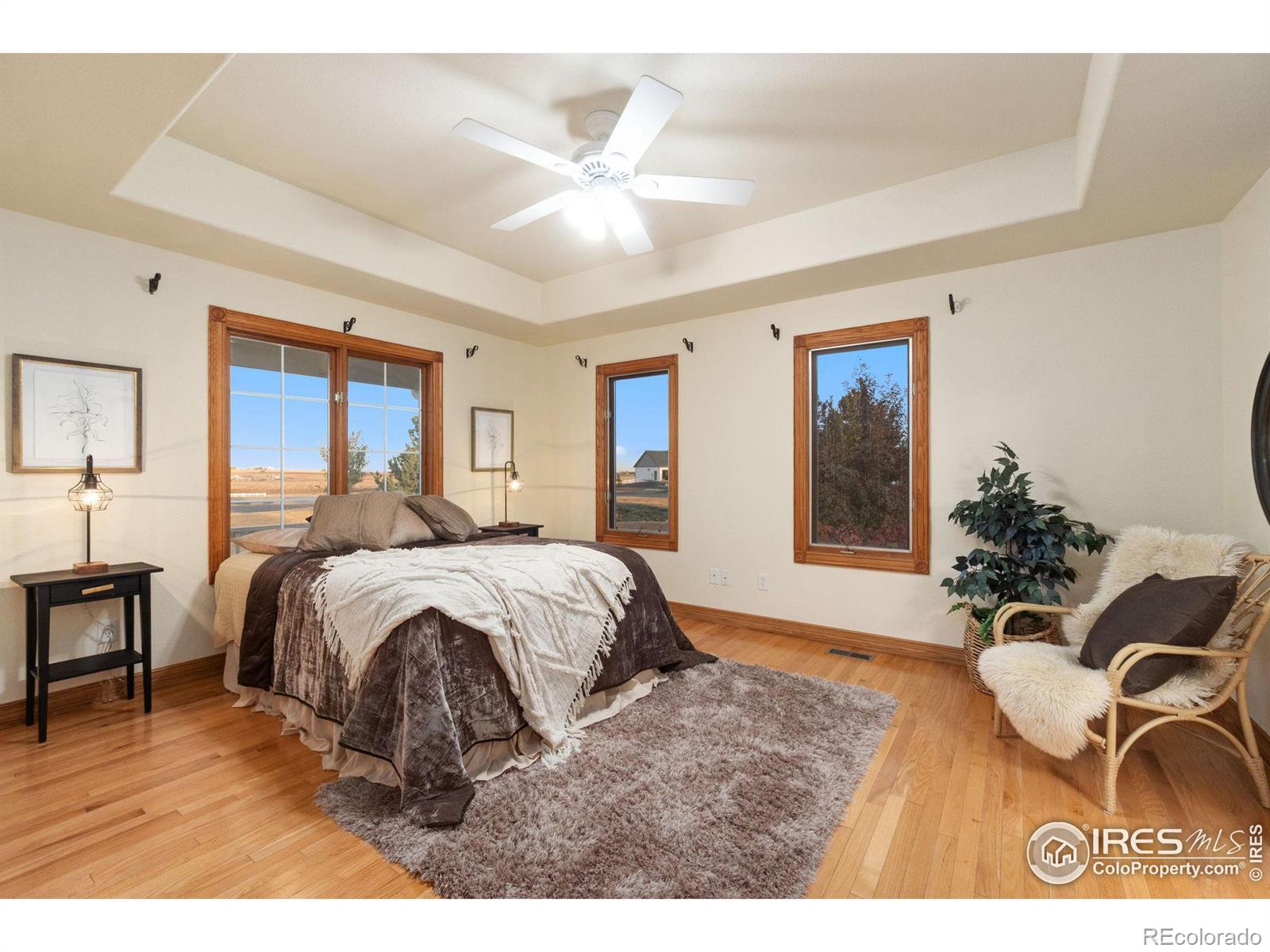 MLS Image #14 for 2211  san miguel drive,severance, Colorado