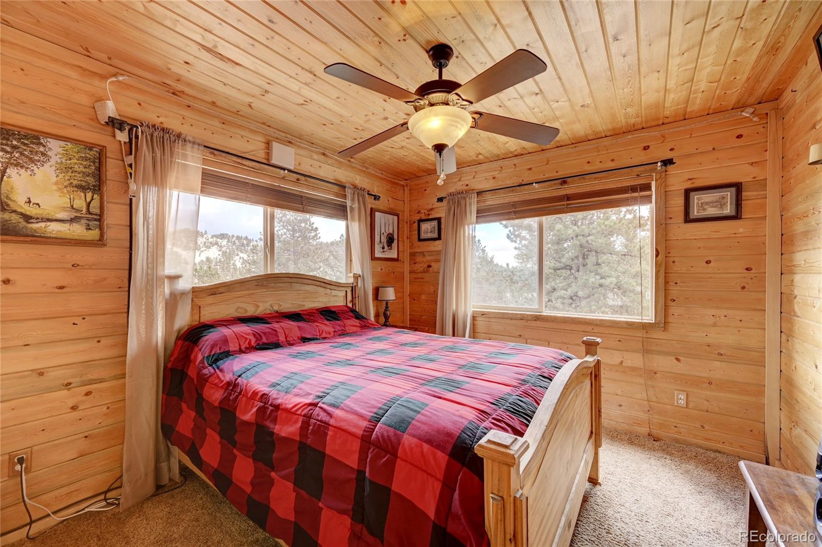 MLS Image #16 for 70  elk circle,guffey, Colorado