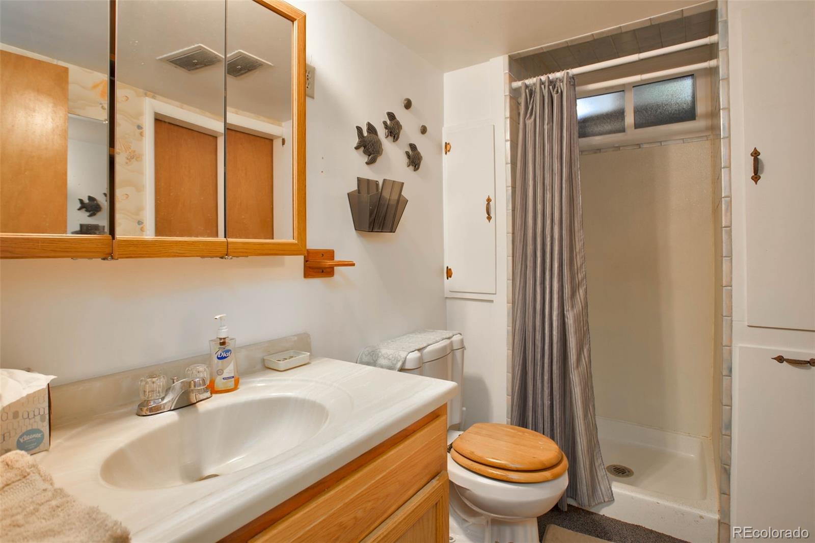 MLS Image #28 for 8240  ralph lane,denver, Colorado