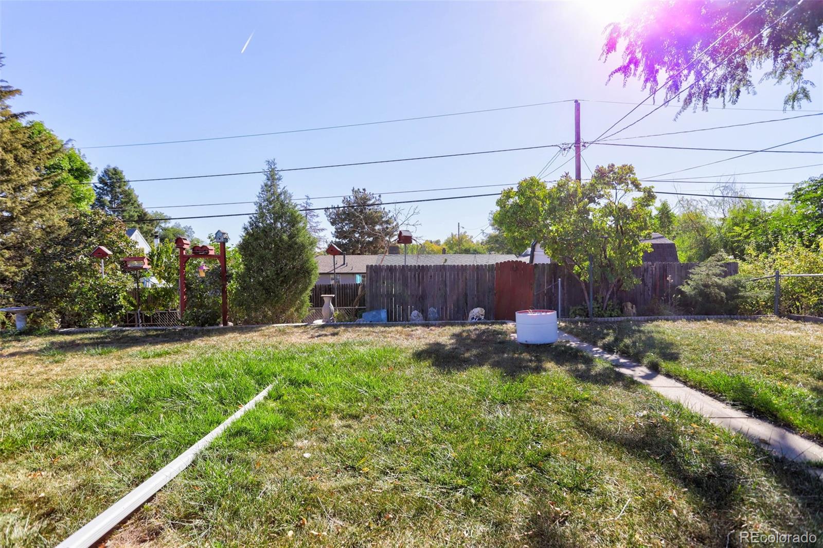 MLS Image #43 for 8240  ralph lane,denver, Colorado