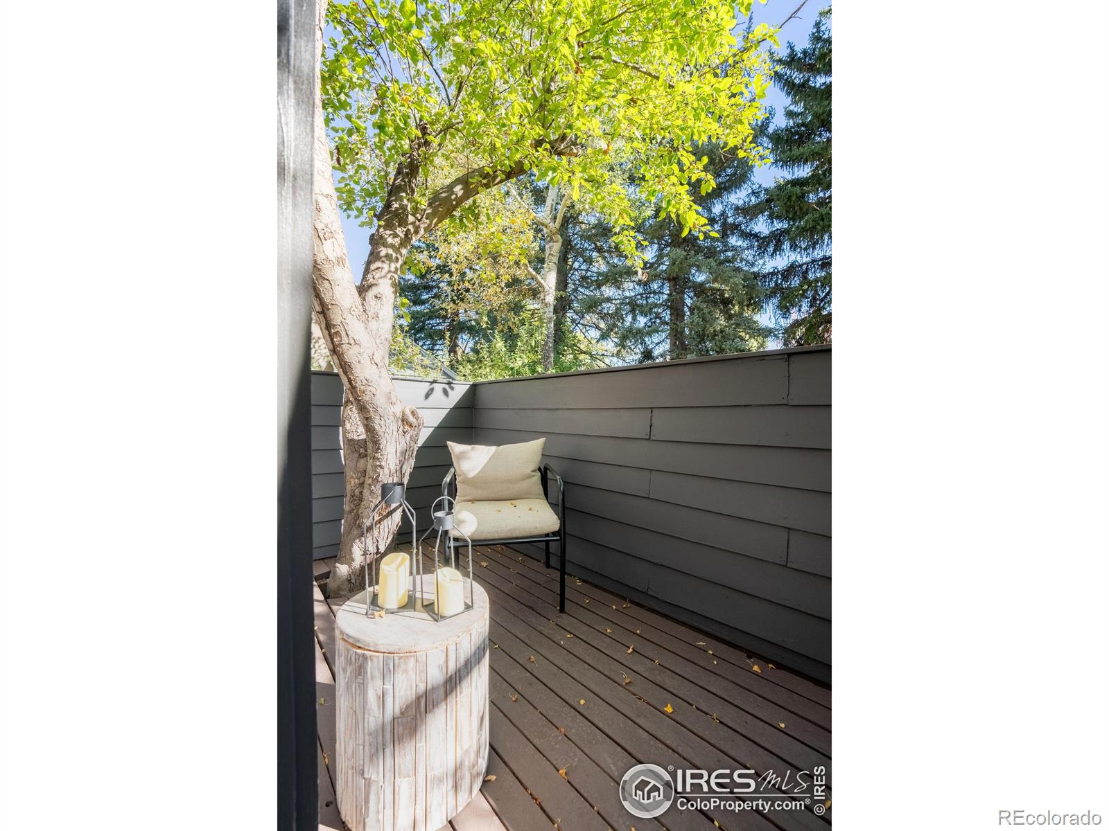 MLS Image #15 for 875  grant place,boulder, Colorado